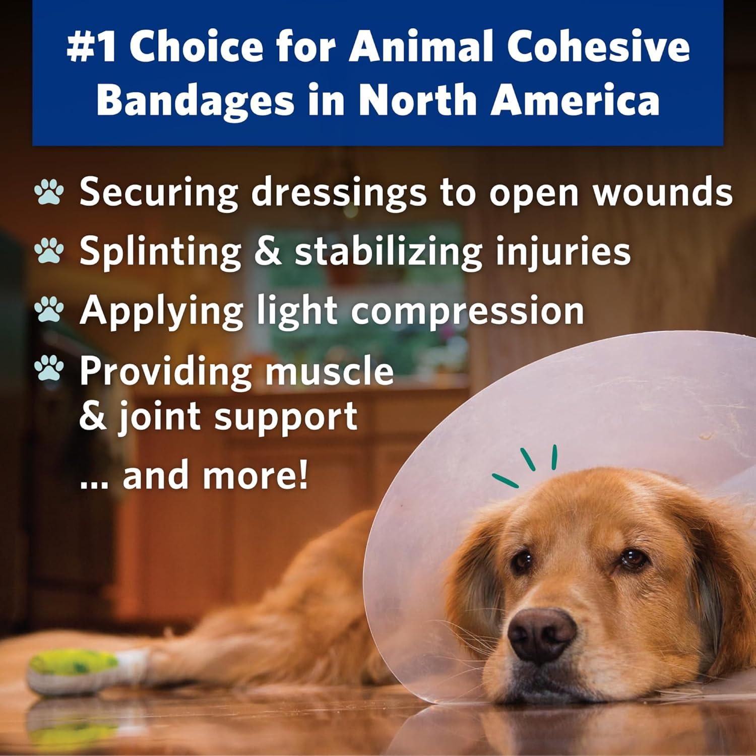 Venda Autoadhesiva para Mascotas PetFlex 2" - 2 Rollos