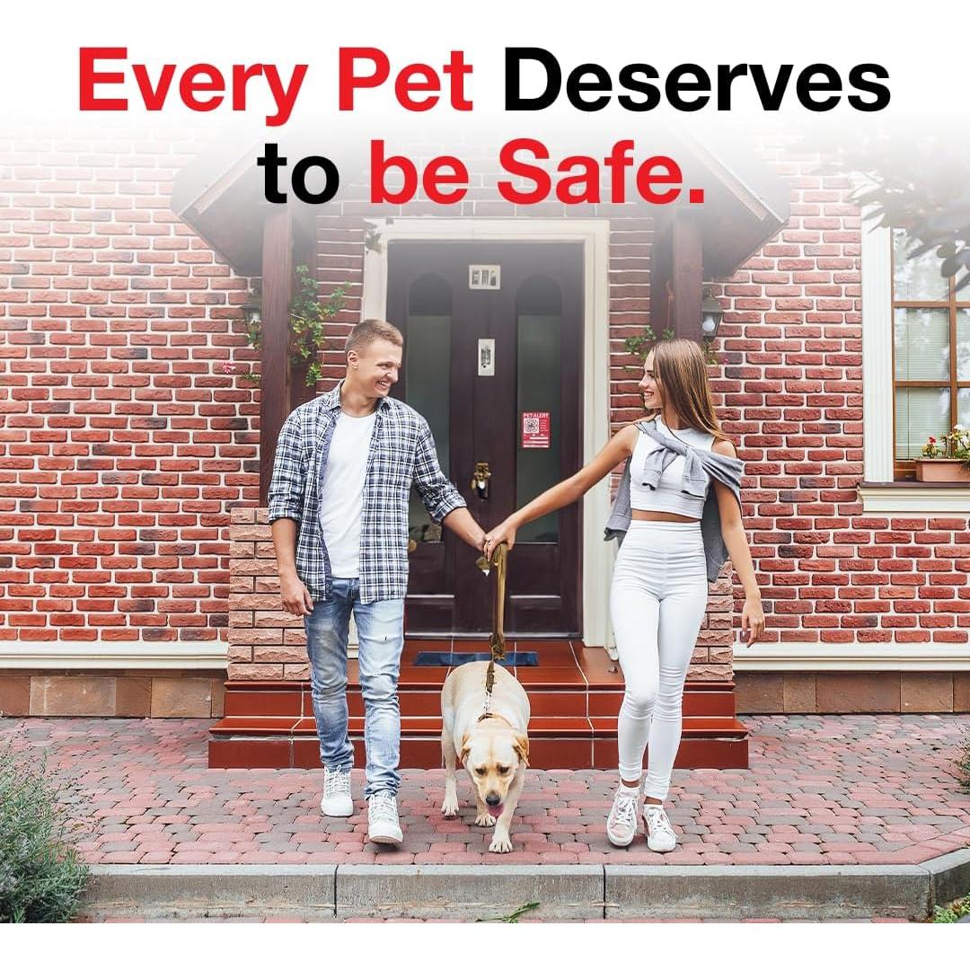 Etiqueta de Seguridad para Mascotas Pixelverse 12.7x10.16cm