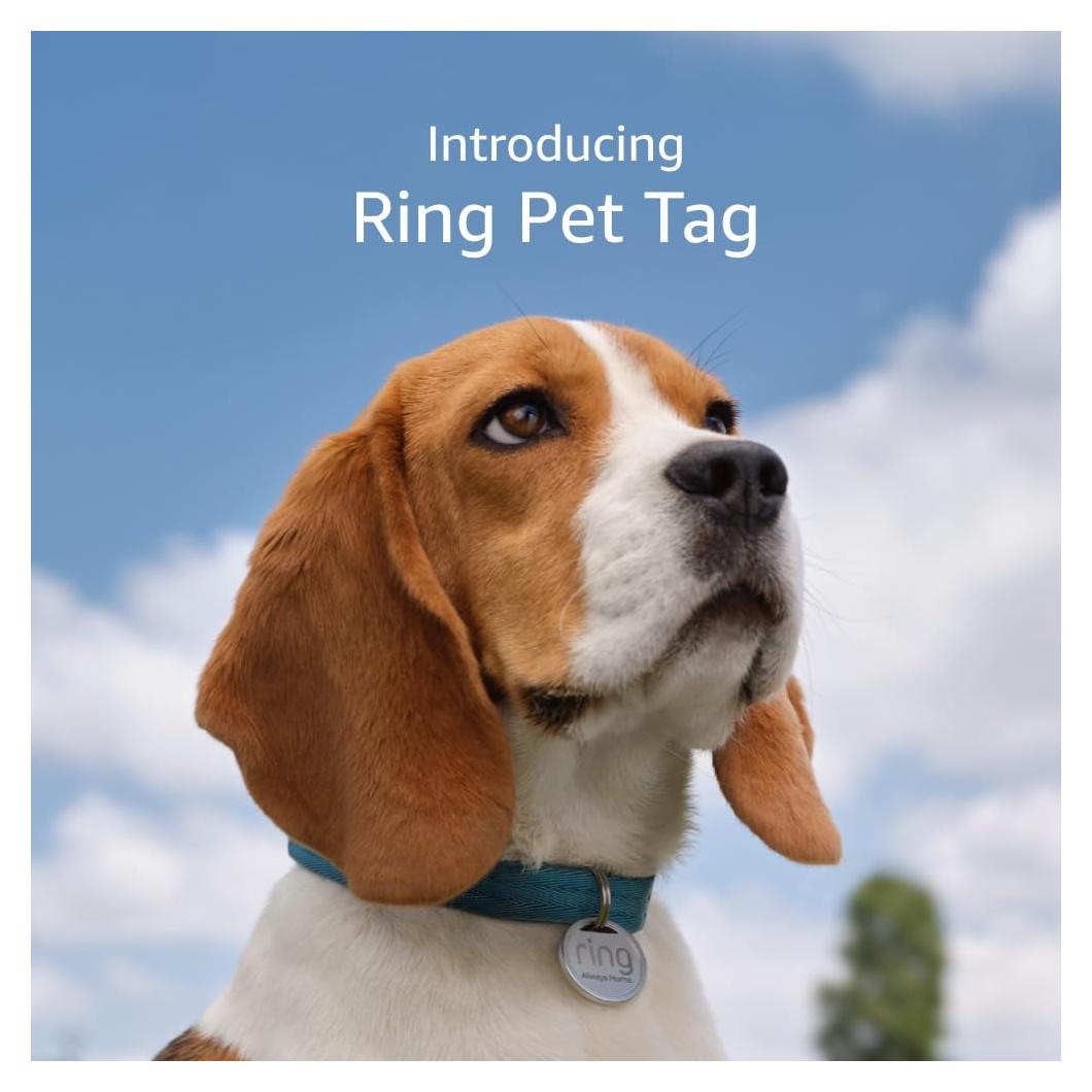 Etiqueta de Mascota Ring con Código QR - Sin Tarifas