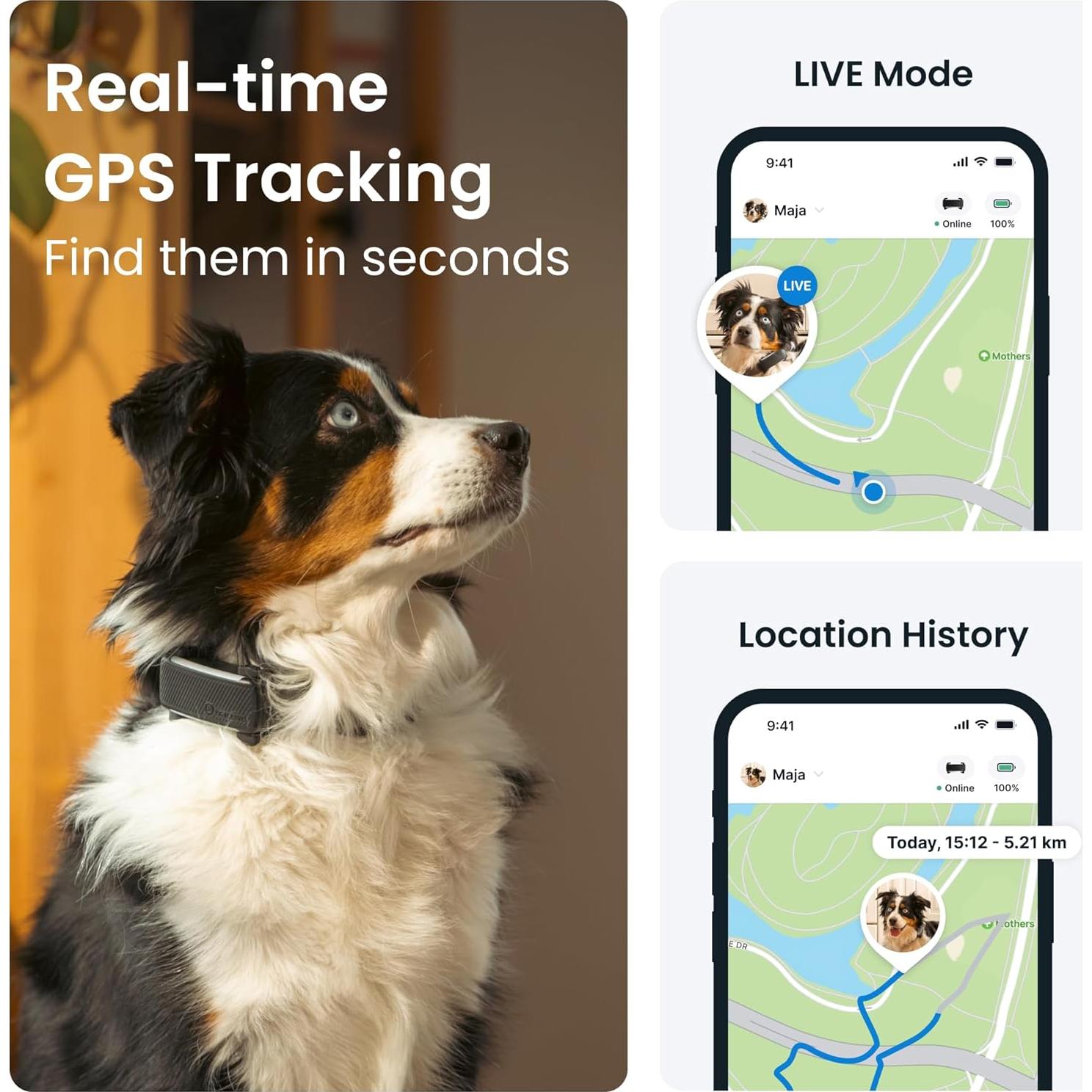 Rastreador GPS para Perros Tractive TG6A Negro - Salud y Seguridad
