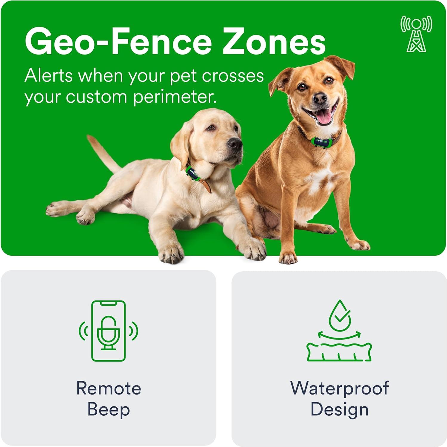 Rastreador GPS Petloc8 para Perros - Impermeable y Ligero