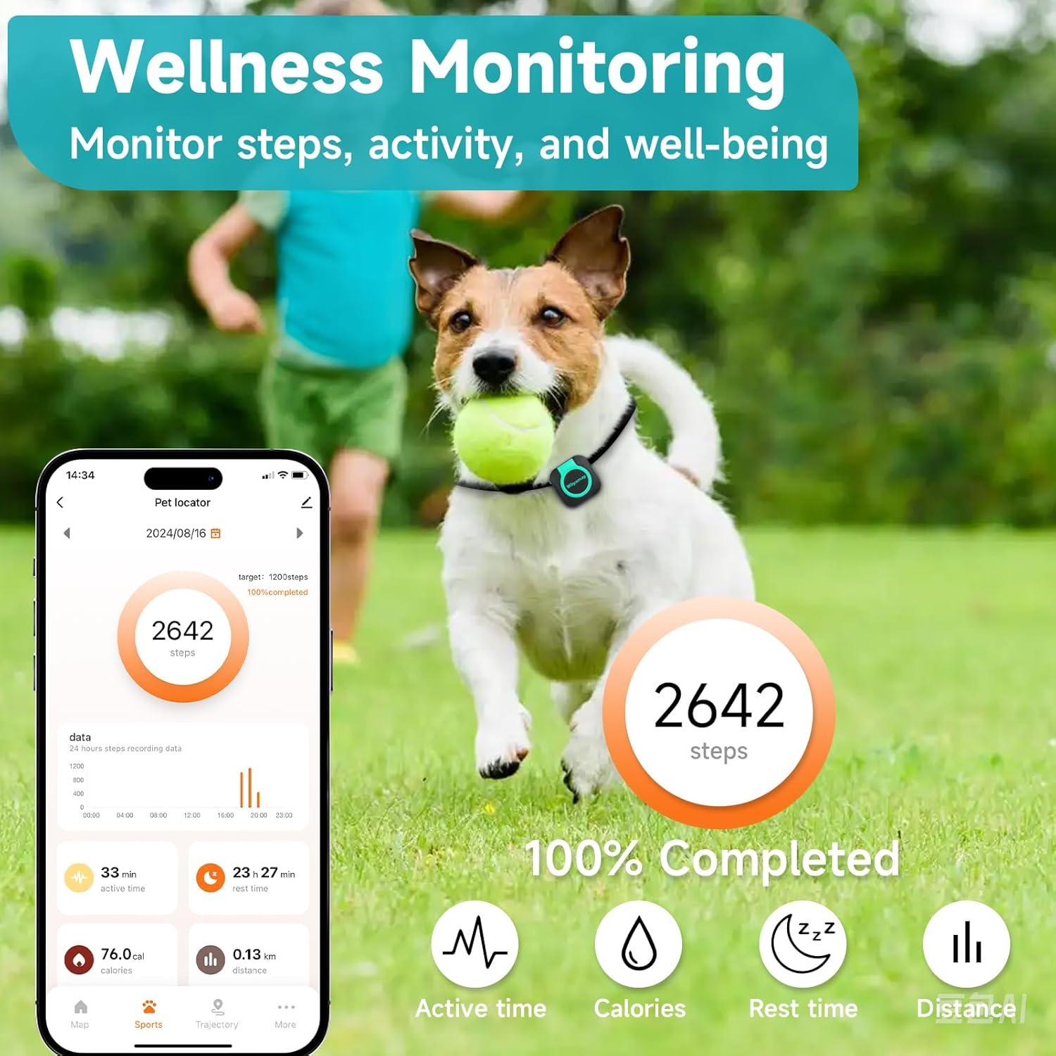 Rastreador GPS Woyamay para Perros y Gatos a Prueba de Agua