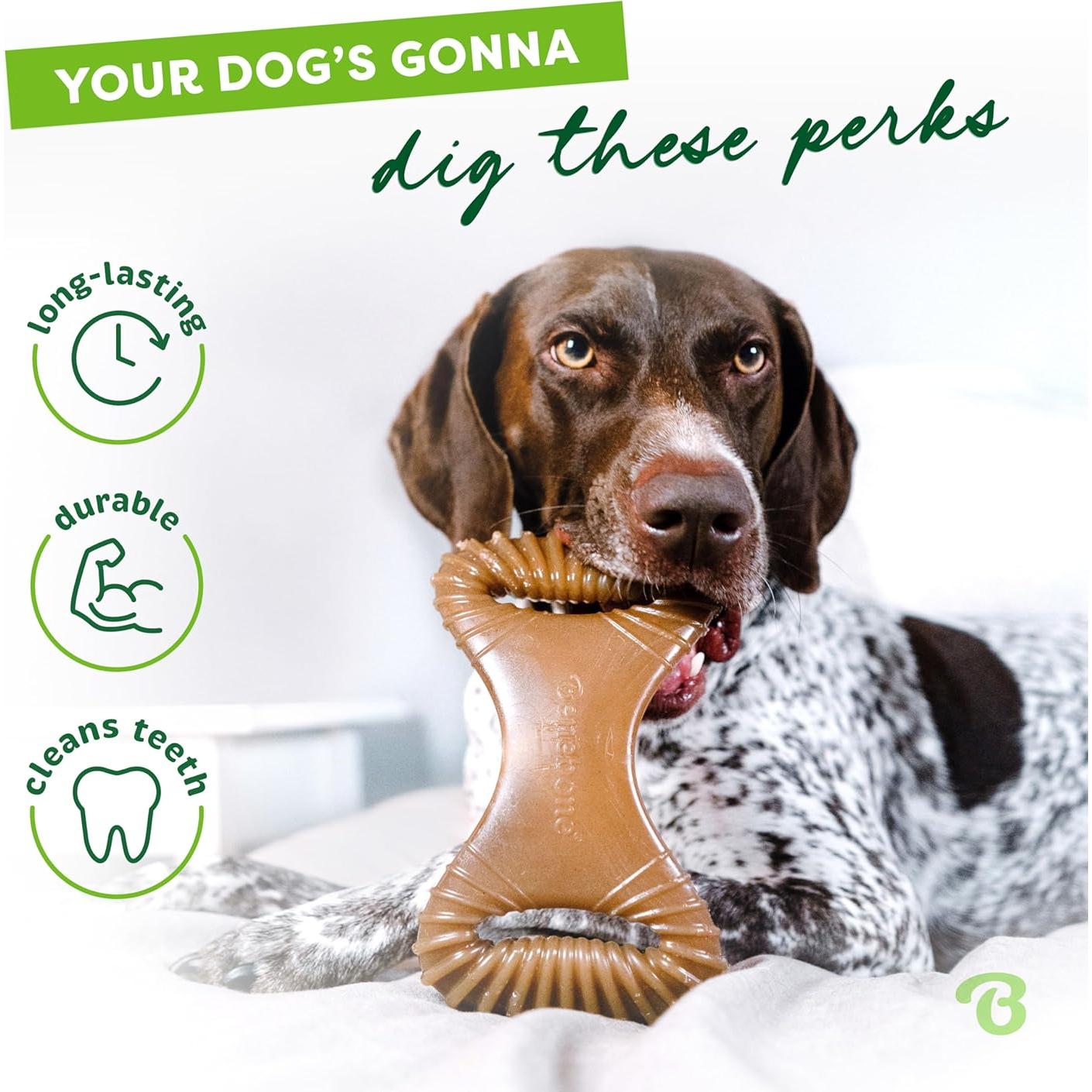 Benebone Juguete Masticable Dental Mediano con Tocino Real