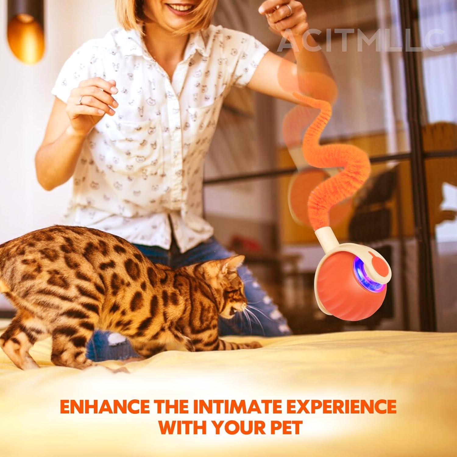 Bola Interactiva para Gatos y Perros ACITMLLC Naranja