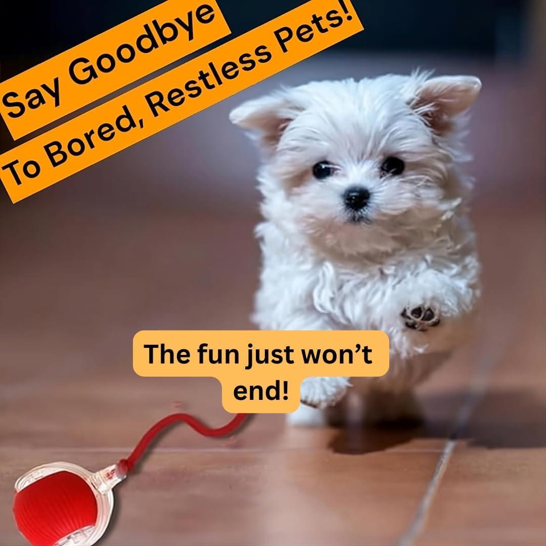 Purrmitive 2025 Durable Interactive Cat Toys for Indoor Cats, Dog Toys Ball, Rolling Pet Ball, Smart Automatic Cat Chase Balls Toy, Interactive Dog Toys Speedy Tail,Kitten & Cat Toys Interactive (Red)