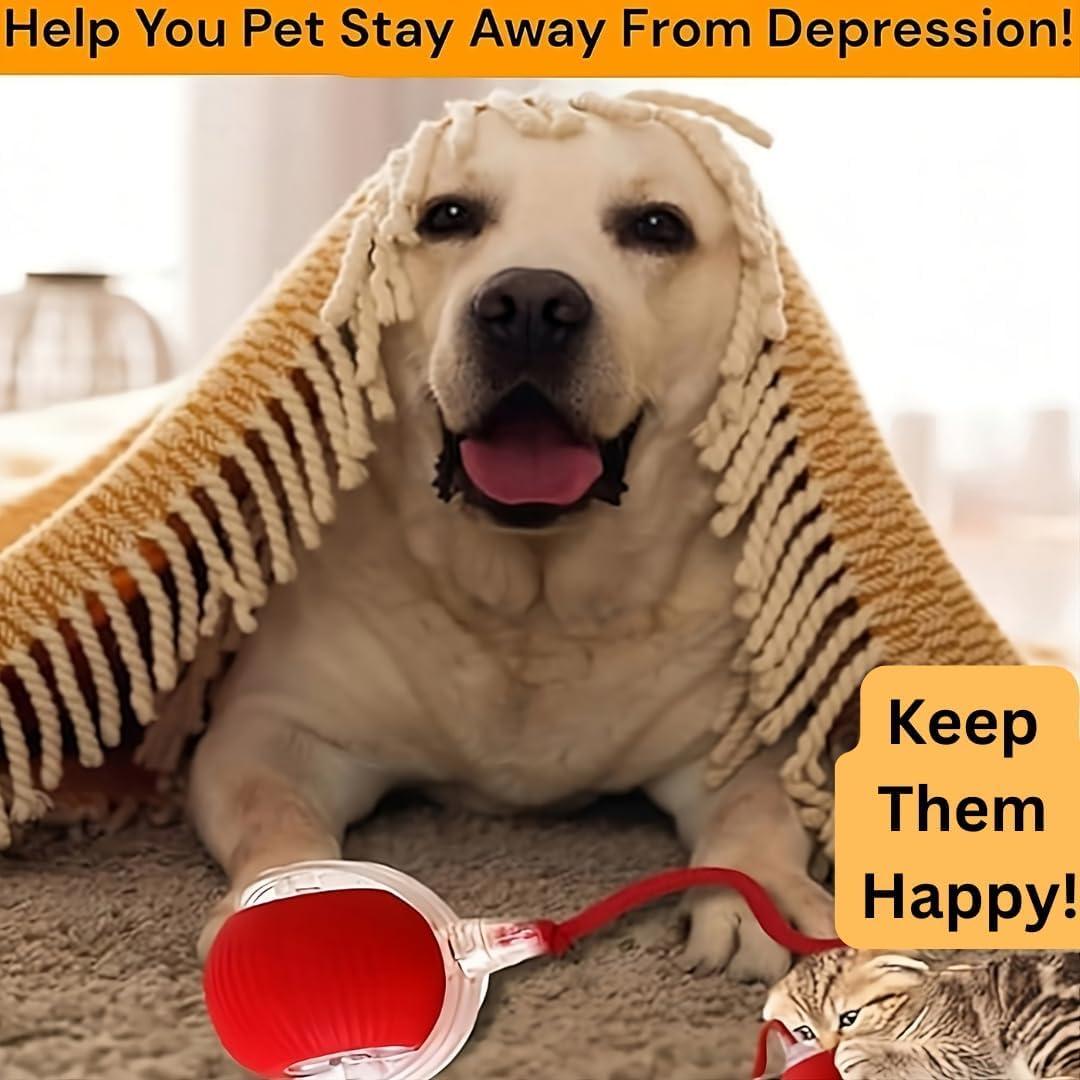 Purrmitive 2025 Durable Interactive Cat Toys for Indoor Cats, Dog Toys Ball, Rolling Pet Ball, Smart Automatic Cat Chase Balls Toy, Interactive Dog Toys Speedy Tail,Kitten & Cat Toys Interactive (Red)