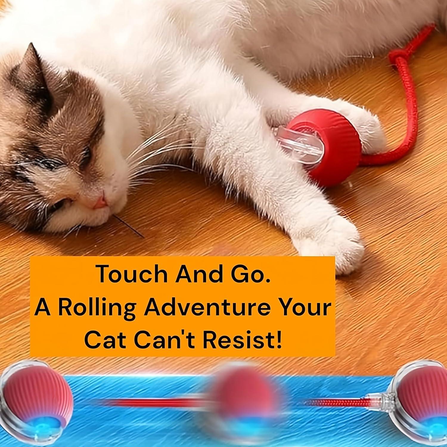 Purrmitive 2025 Durable Interactive Cat Toys for Indoor Cats, Dog Toys Ball, Rolling Pet Ball, Smart Automatic Cat Chase Balls Toy, Interactive Dog Toys Speedy Tail,Kitten & Cat Toys Interactive (Red)