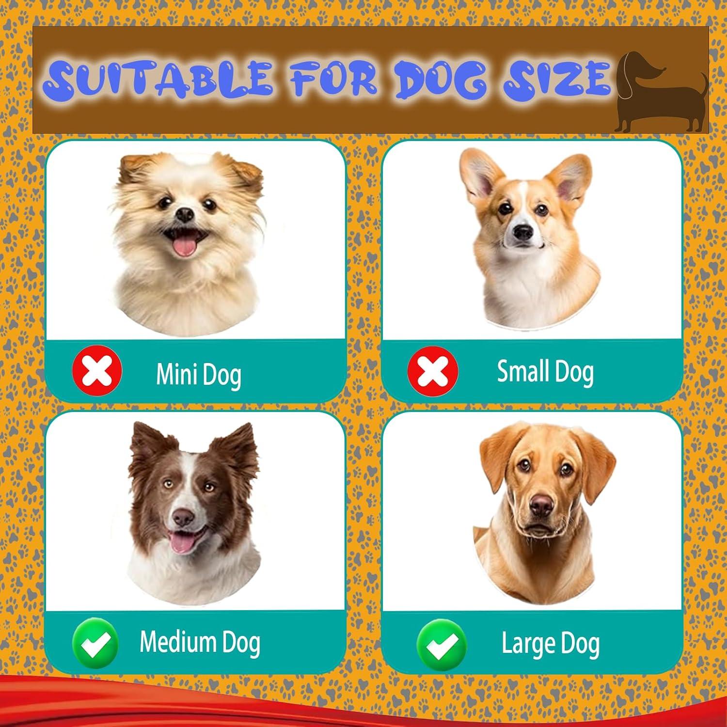 Bola Juguete Interactiva para Perros ChiDuoDuo Recargable