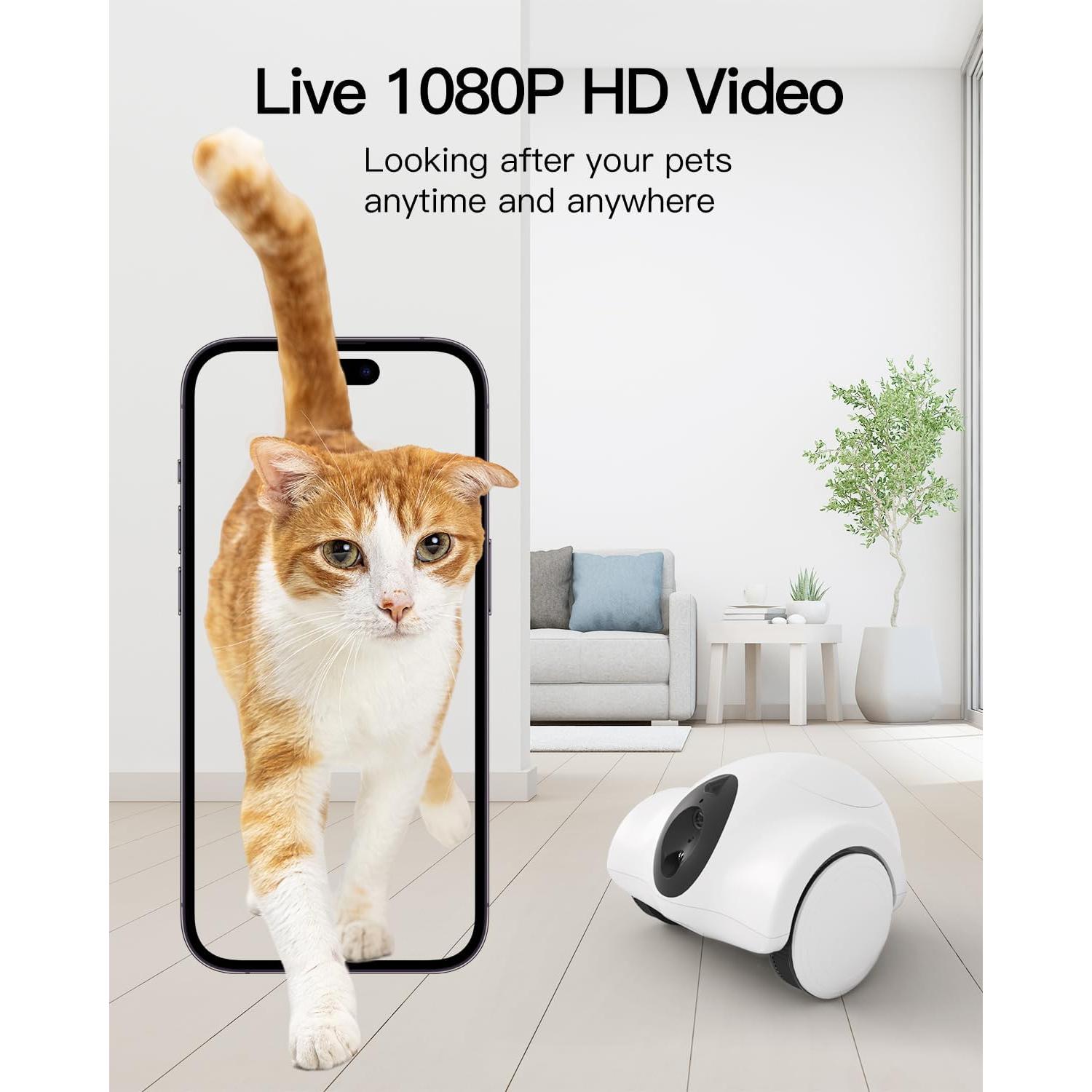 Cámara para Mascotas GULIGULI Hiibo 1080P WiFi 360° con Dispensador