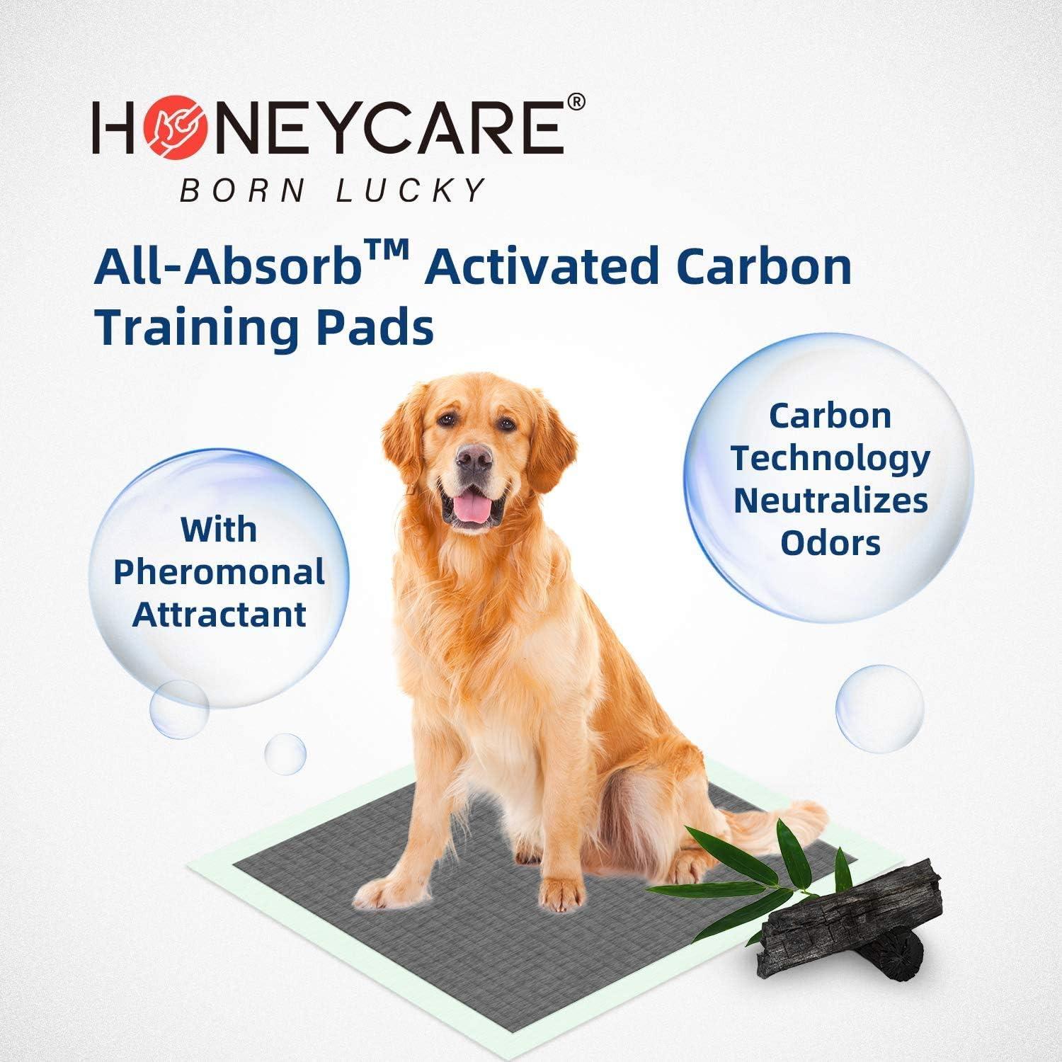 Almohadillas de Entrenamiento HONEY CARE 100ct L 56x59cm