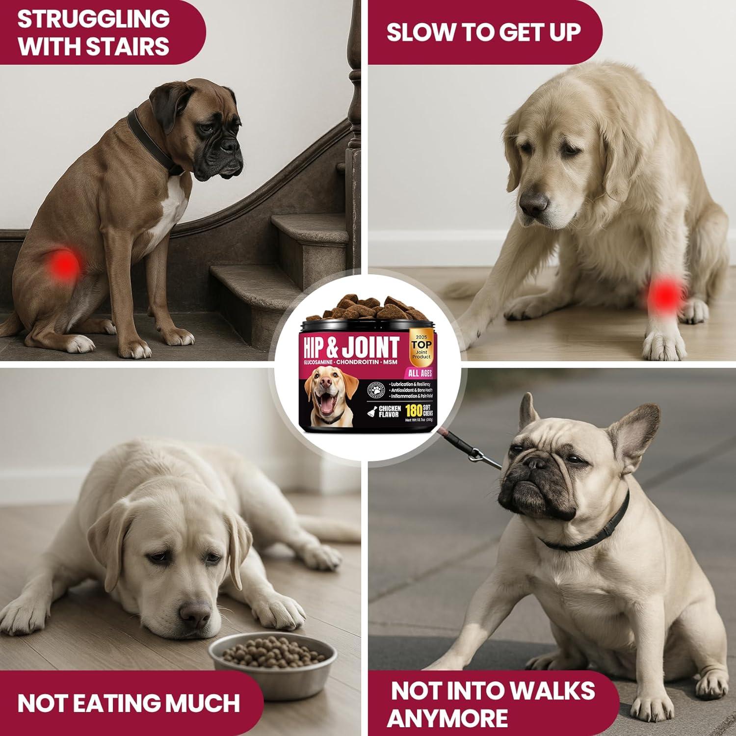 Suplemento de Glucosamina BuddyCheer para Perros 180 Chews