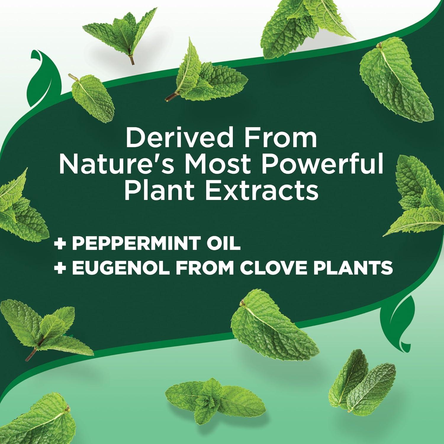 Spray contra pulgas y garrapatas Vet's Best 0,91 L