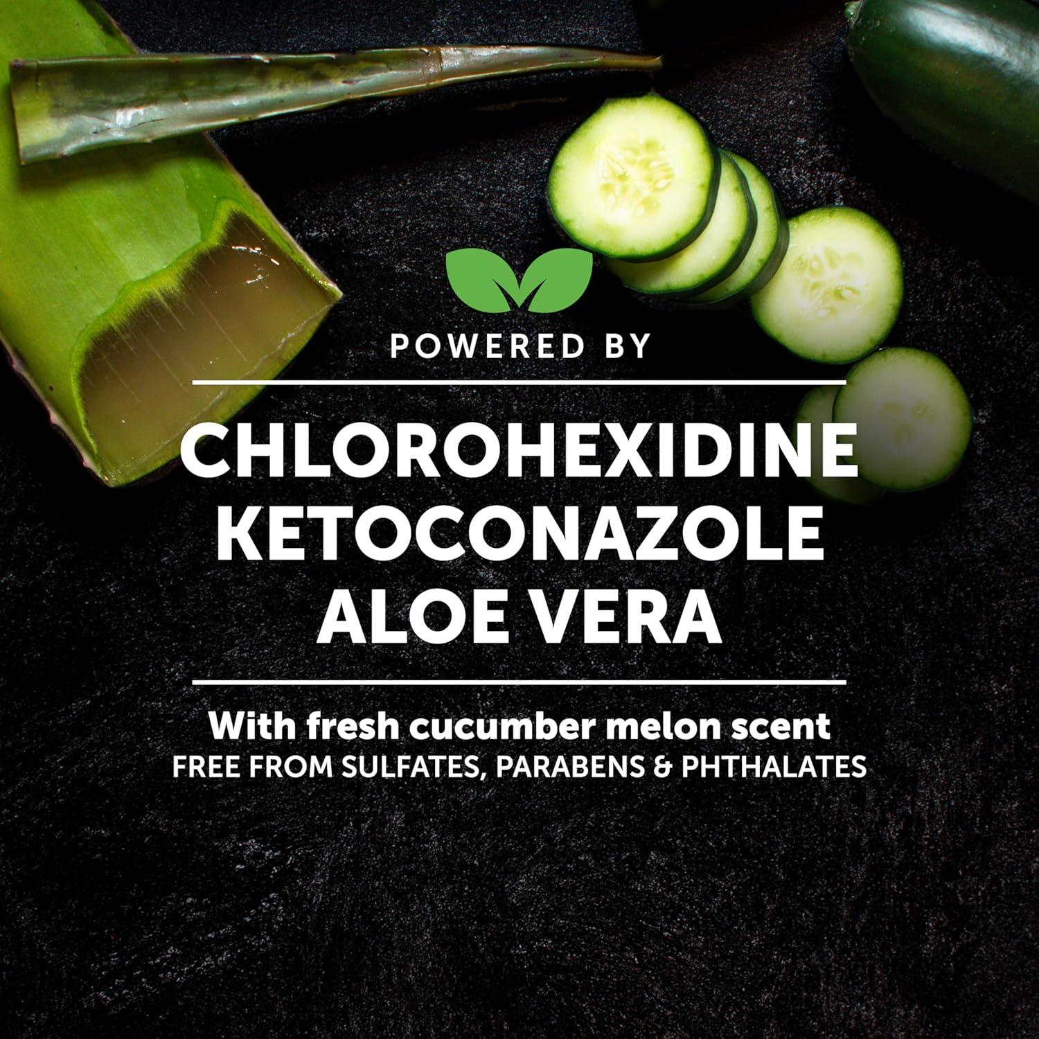 Champú Clorhexidina PetHonesty 16 oz para Gatos y Perros