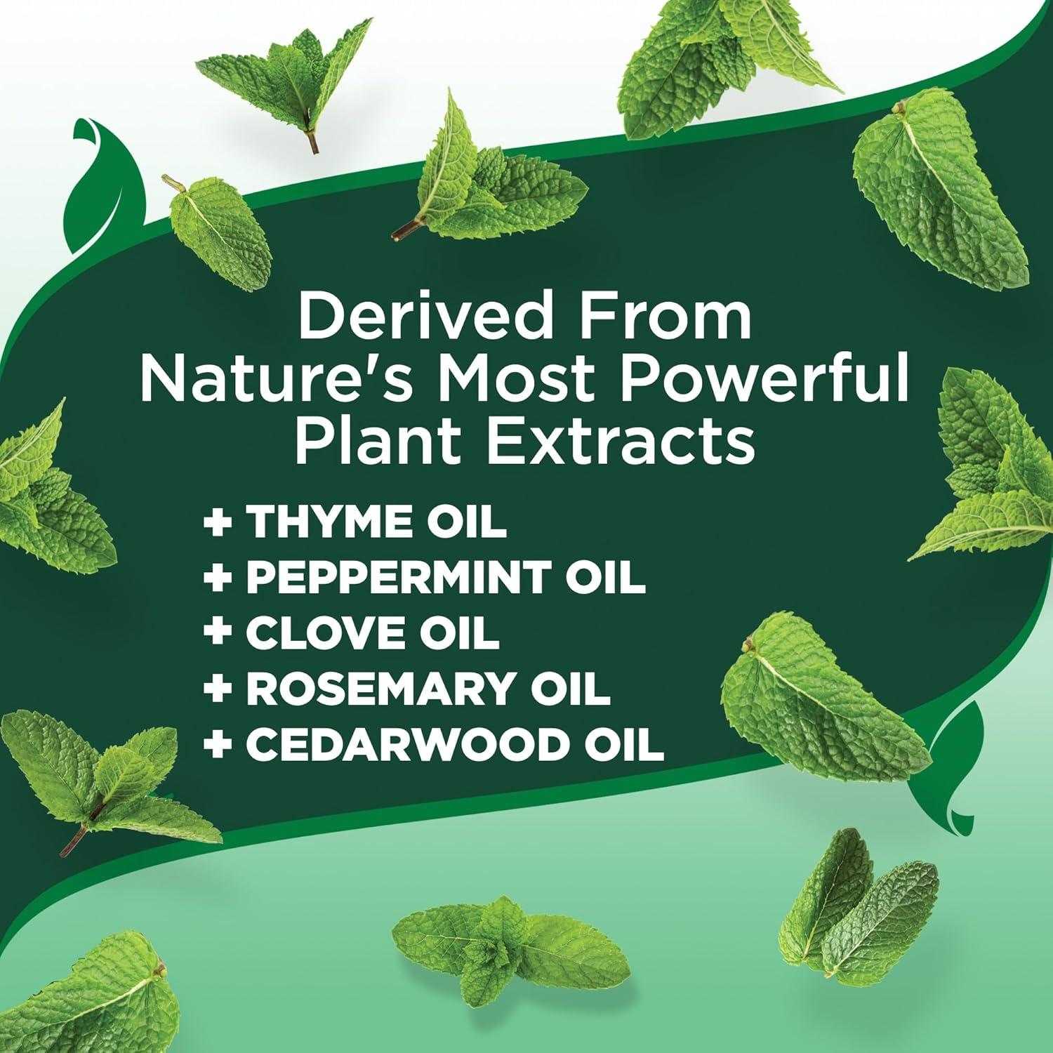 Champú para perros Vet's Best 340 g contra pulgas y garrapatas