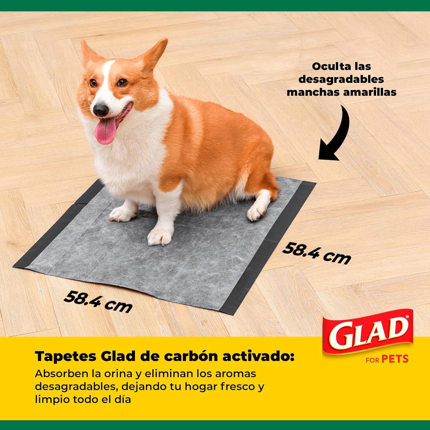 Almohadillas Desechables Glad para Mascotas 23x23" 100 Pzas
