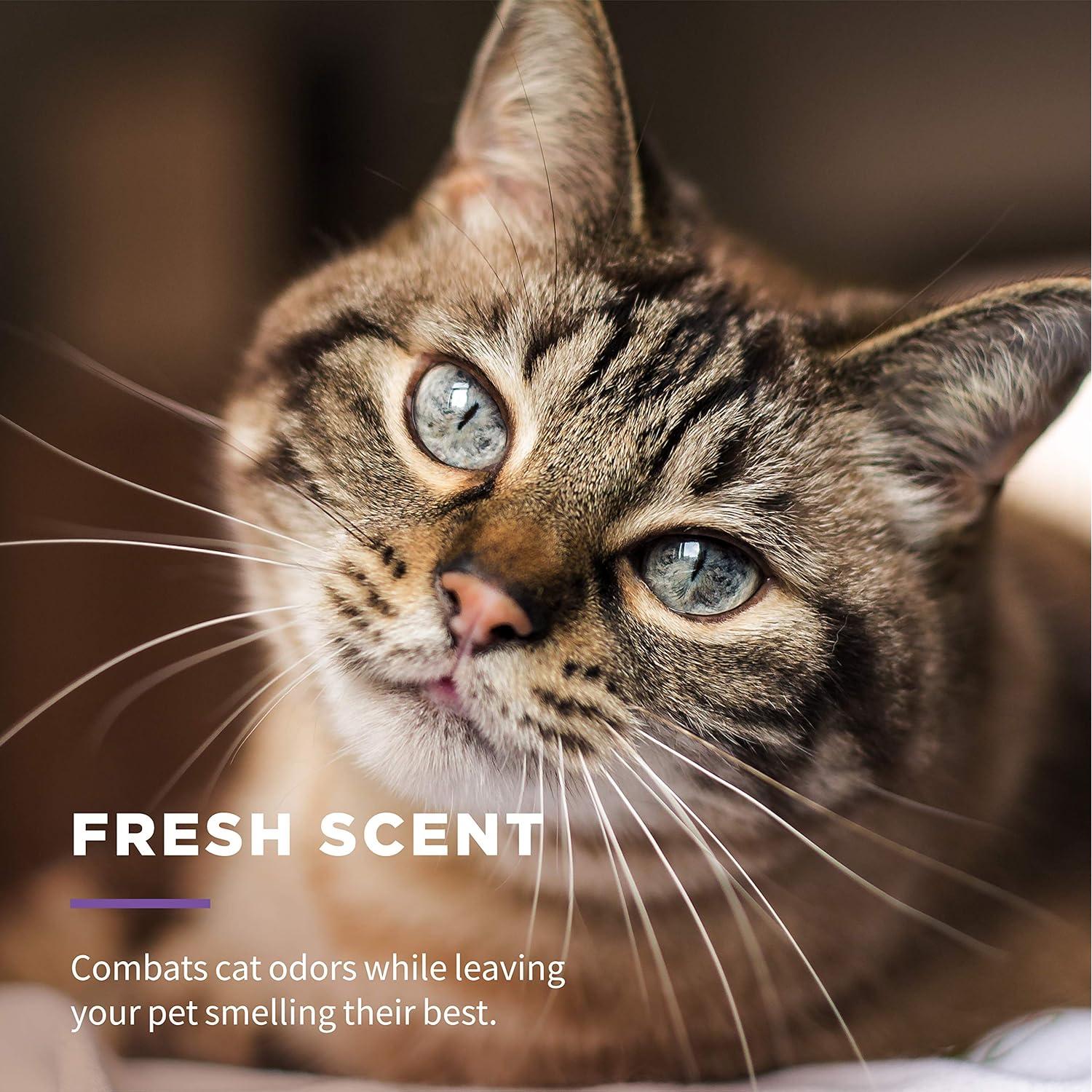 Toallitas Húmedas para Gatos Wet Ones 50 Unidades Aloe Vera