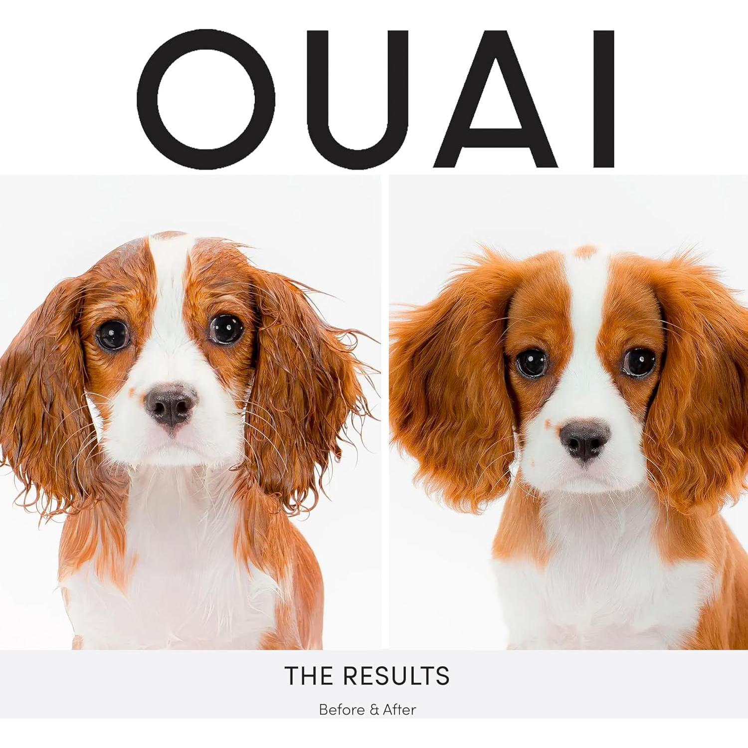 Champú para Perros OUAI Fur Bebé 473ml Aroma Mercer Street