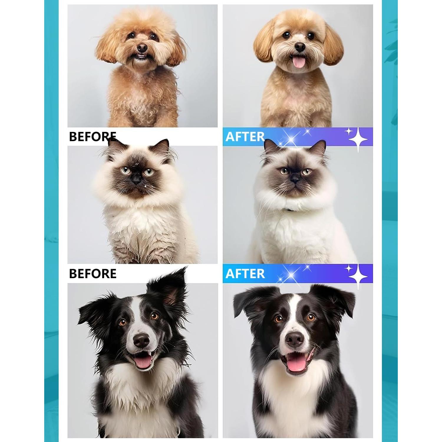 Aspiradora para Aseo de Perros Bawetech B2 5-en-1 11000Pa 2L