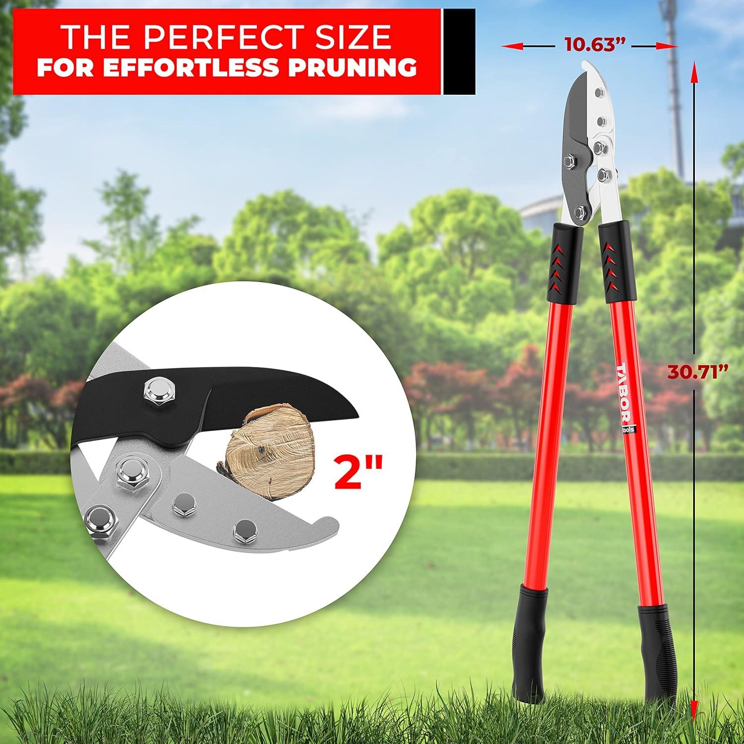 Podadora de Yunque TABOR TOOLS GG12A 76 cm Corte 5 cm