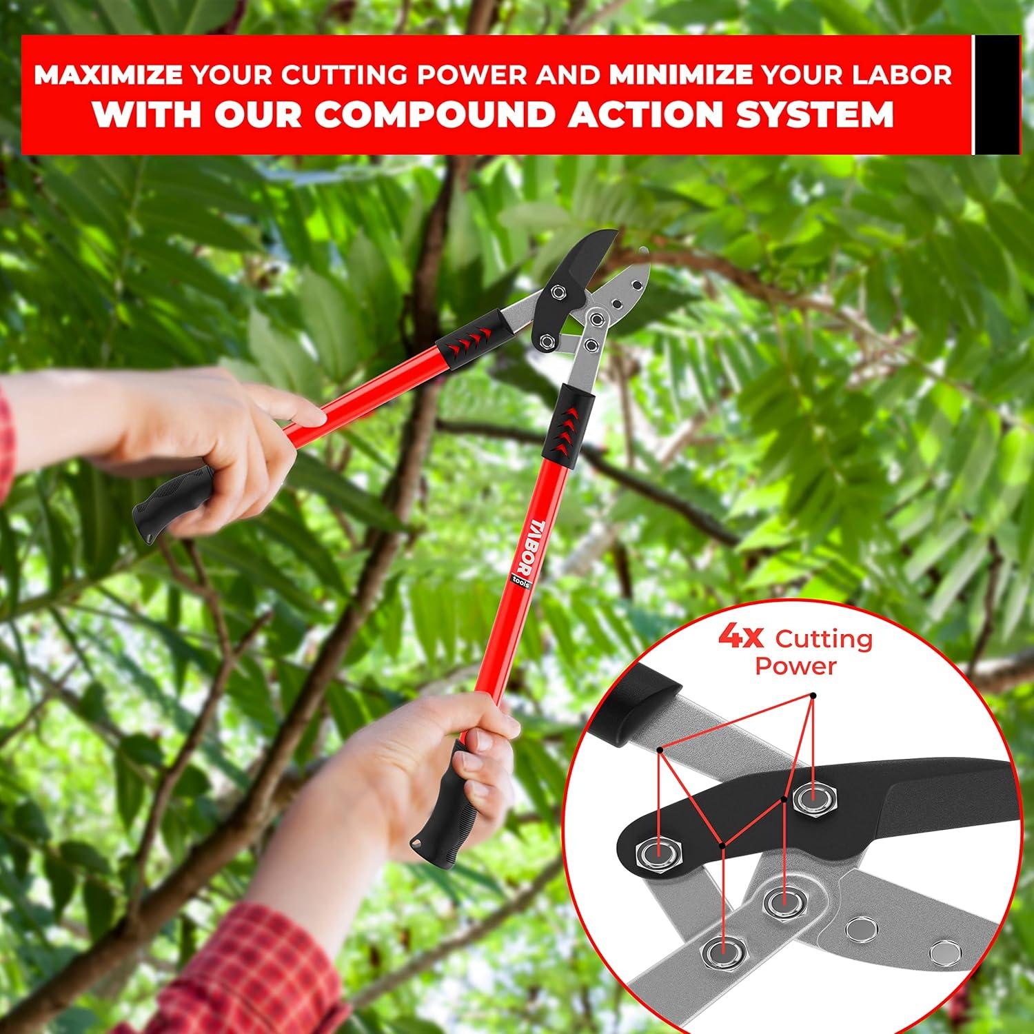 Podadora de Yunque TABOR TOOLS GG12A 76 cm Corte 5 cm