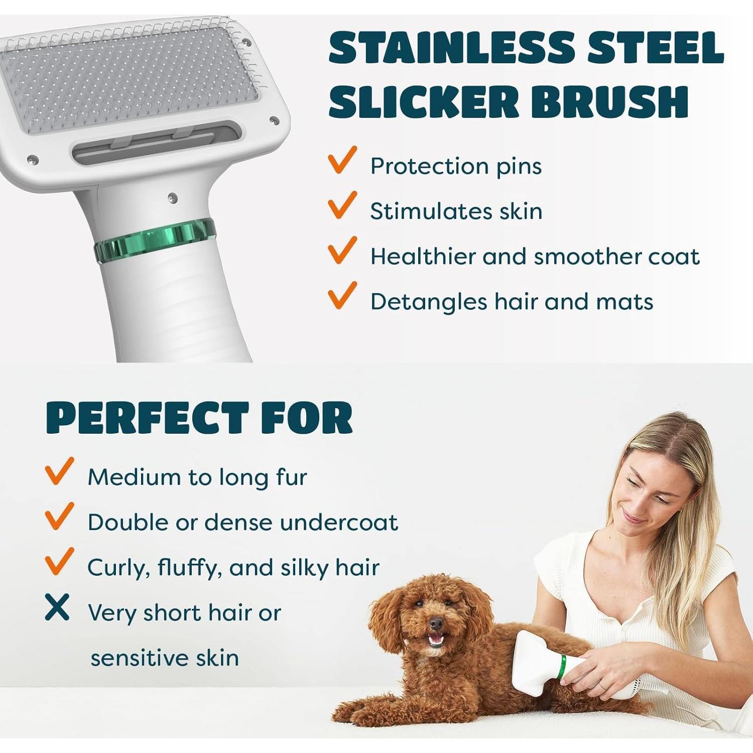 Secador de Pelo 2 en 1 KUUBIA para Perros y Gatos Pequeños 300W