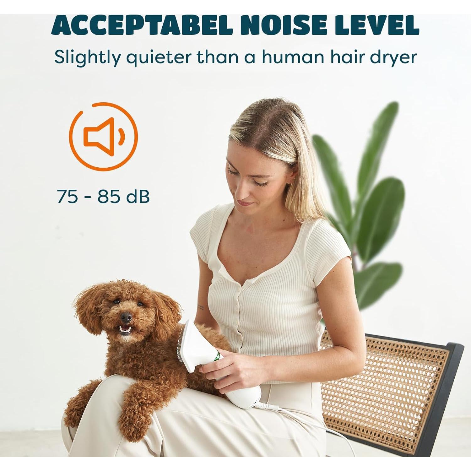 Secador de Pelo 2 en 1 KUUBIA para Perros y Gatos Pequeños 300W