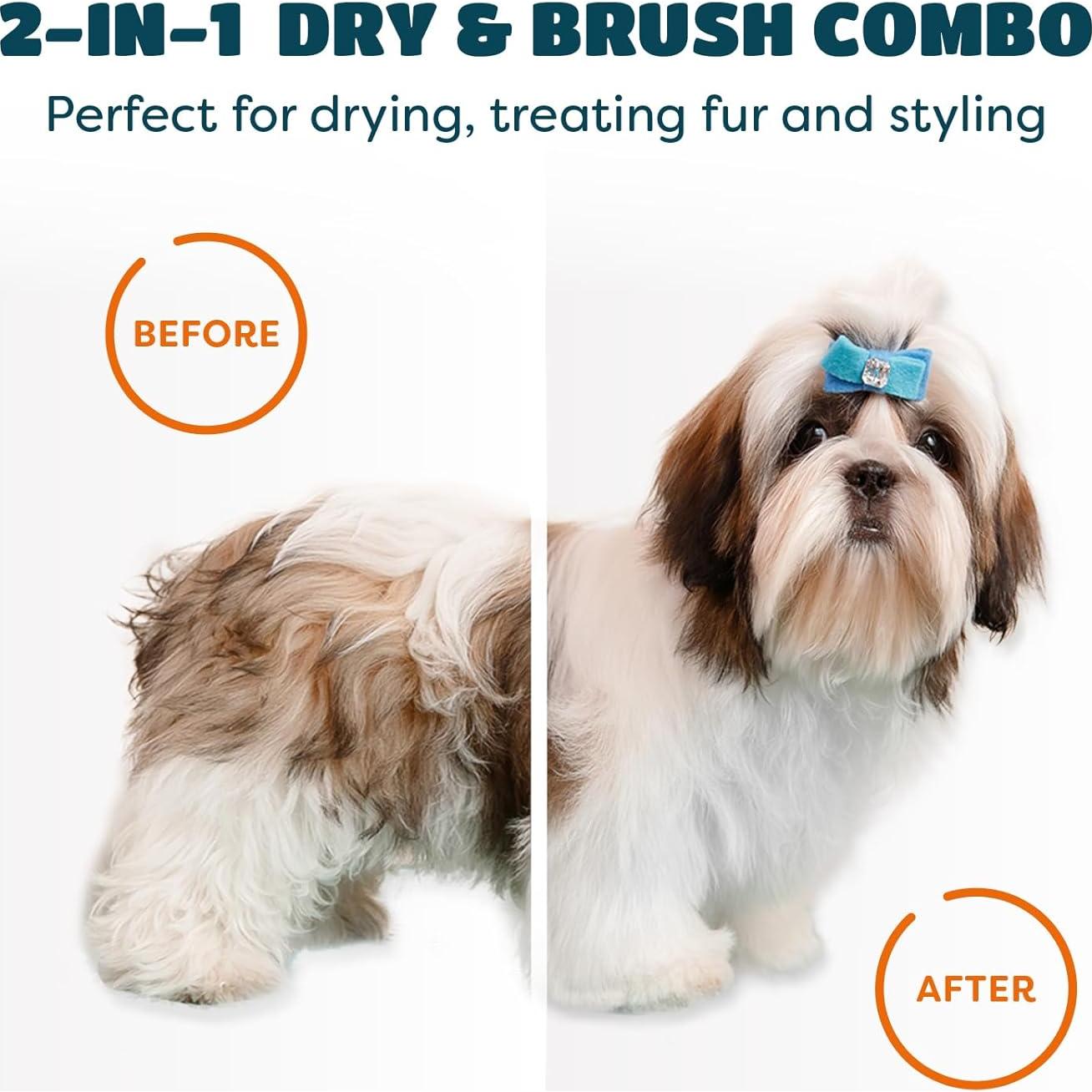 Secador de Pelo 2 en 1 KUUBIA para Perros y Gatos Pequeños 300W