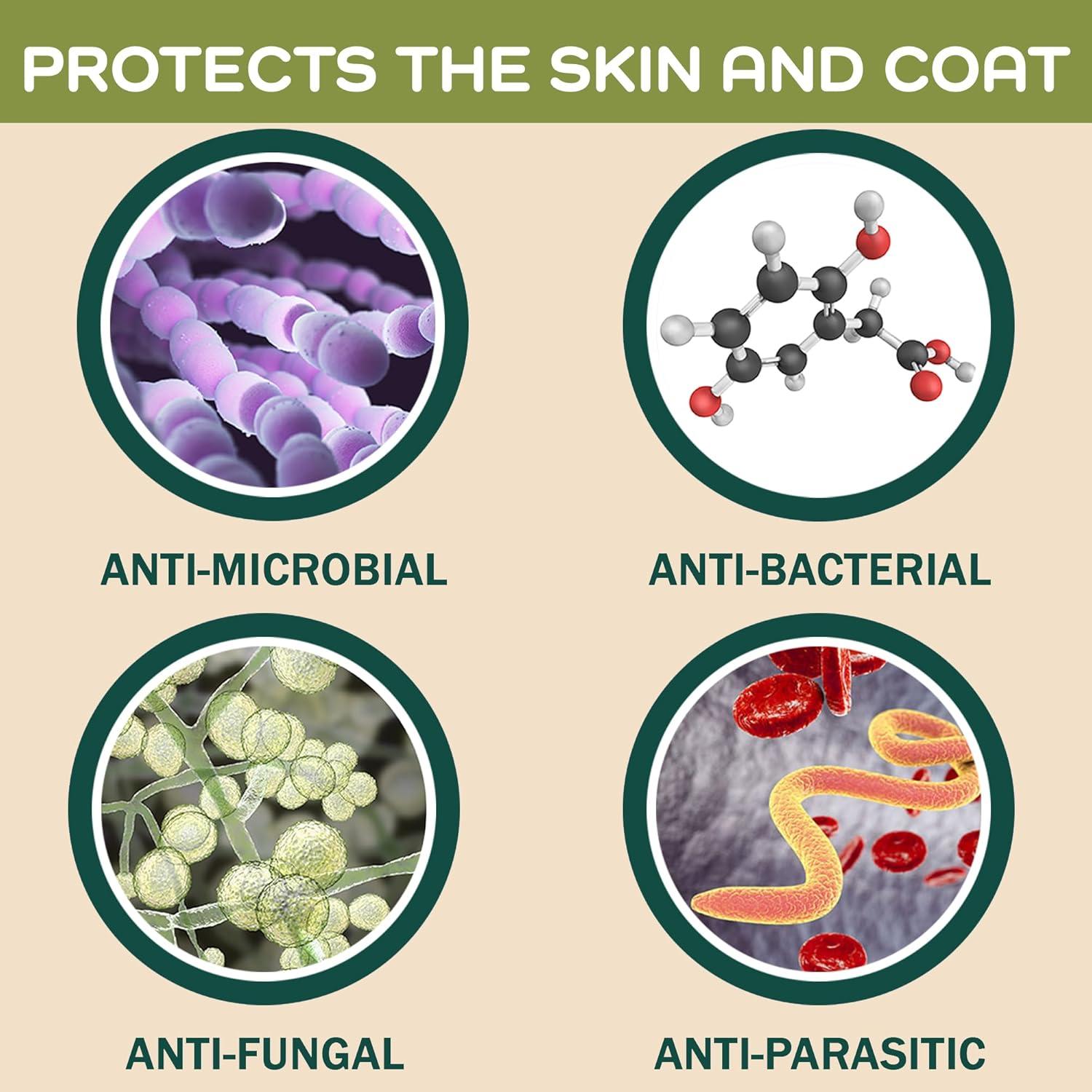 Champú y Acondicionador de Avena Pro Pet Works 500ml 5 en 1