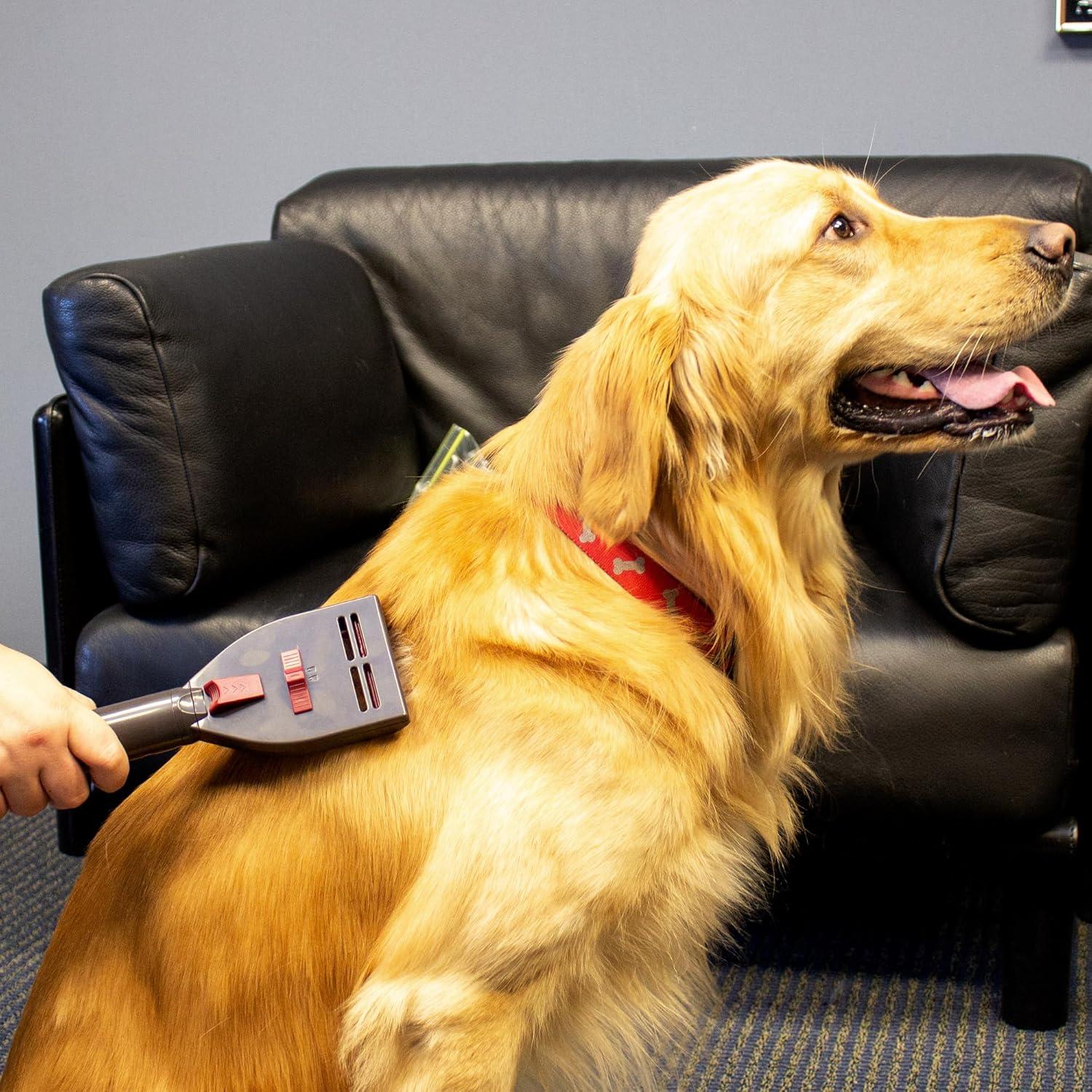 Kit de Accesorios para Aspiradora Penn-Plax VacGroom - Cuidado Mascotas