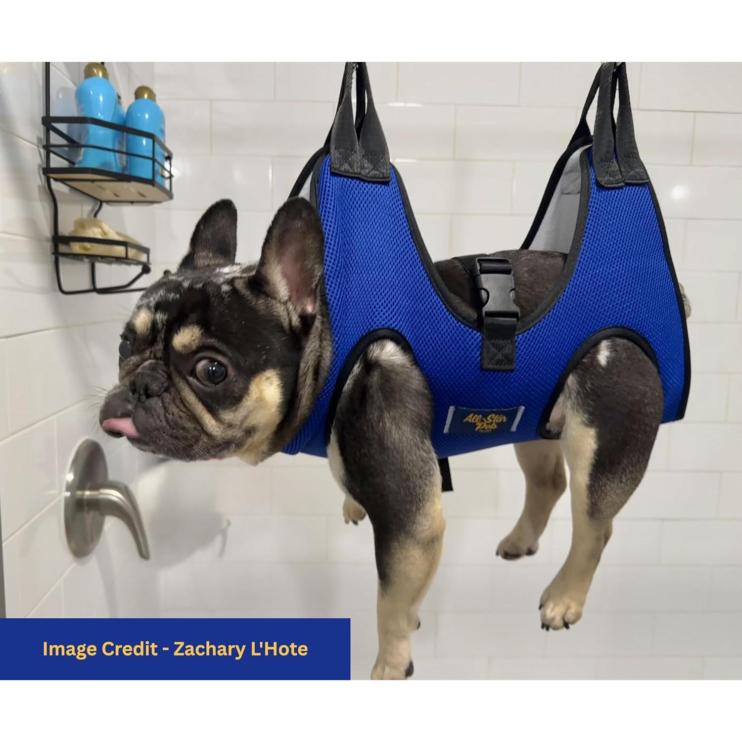 Hamaca de Aseo para Perros Pequeños All Star Pets - Kit Completo