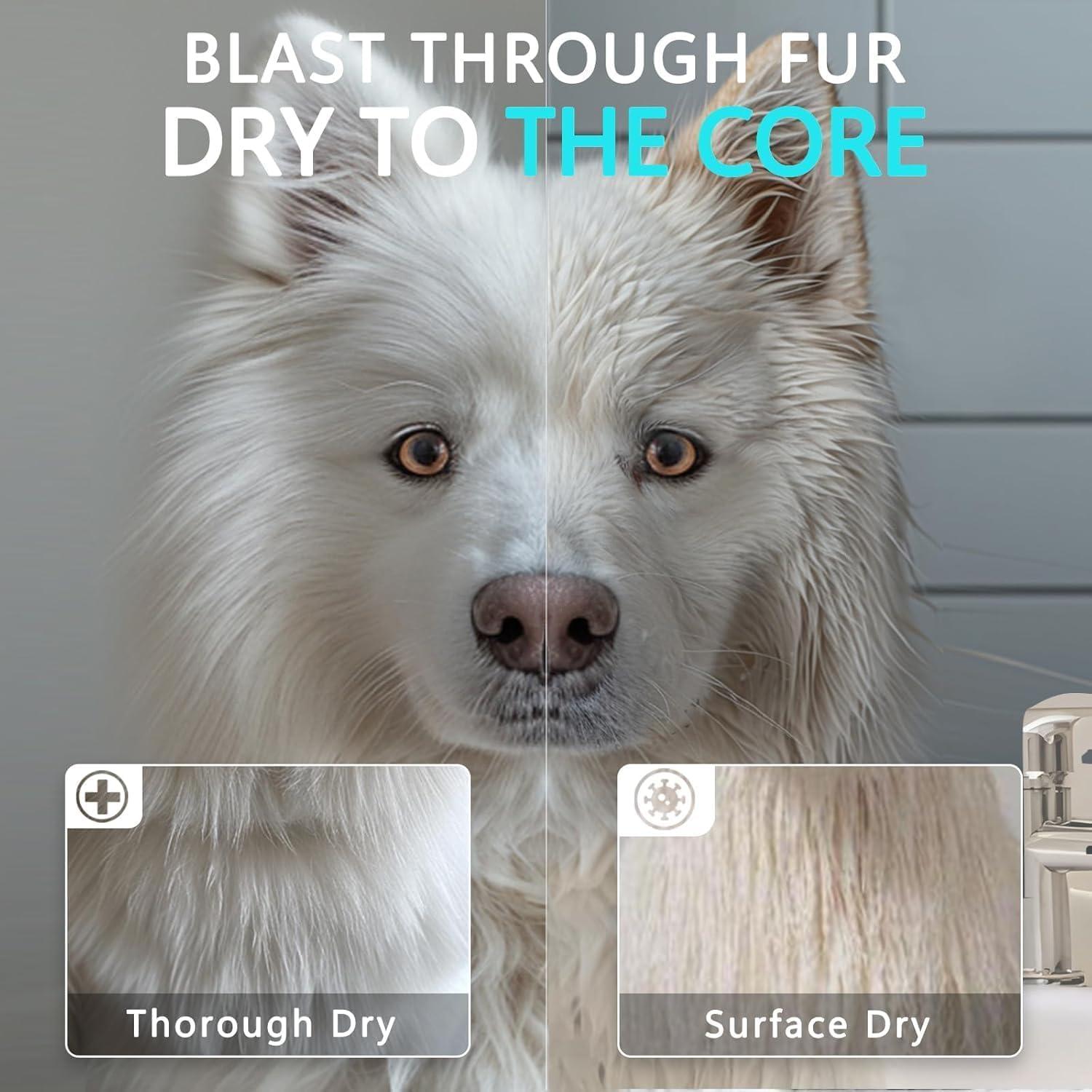 Secador de Pelo Profesional para Perros Blanlody 3800W Azul