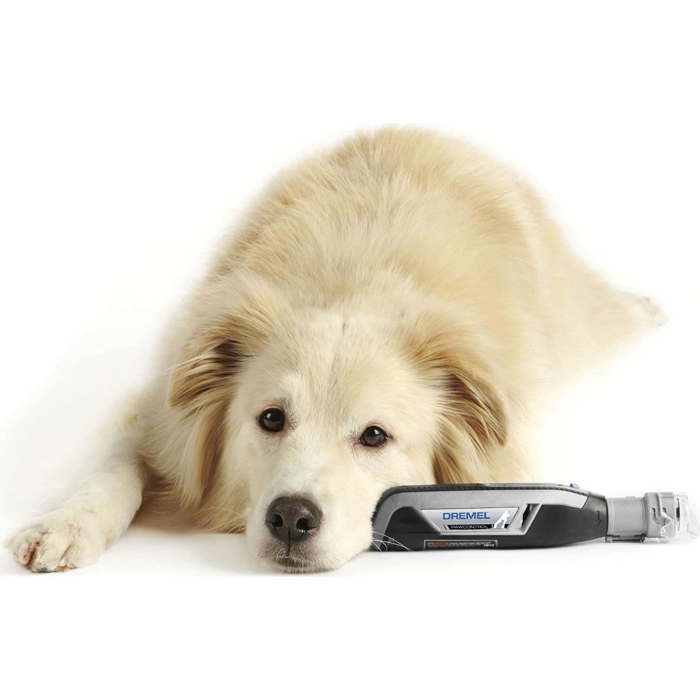 Protector de Uñas para Mascotas Dremel AT02-PGK
