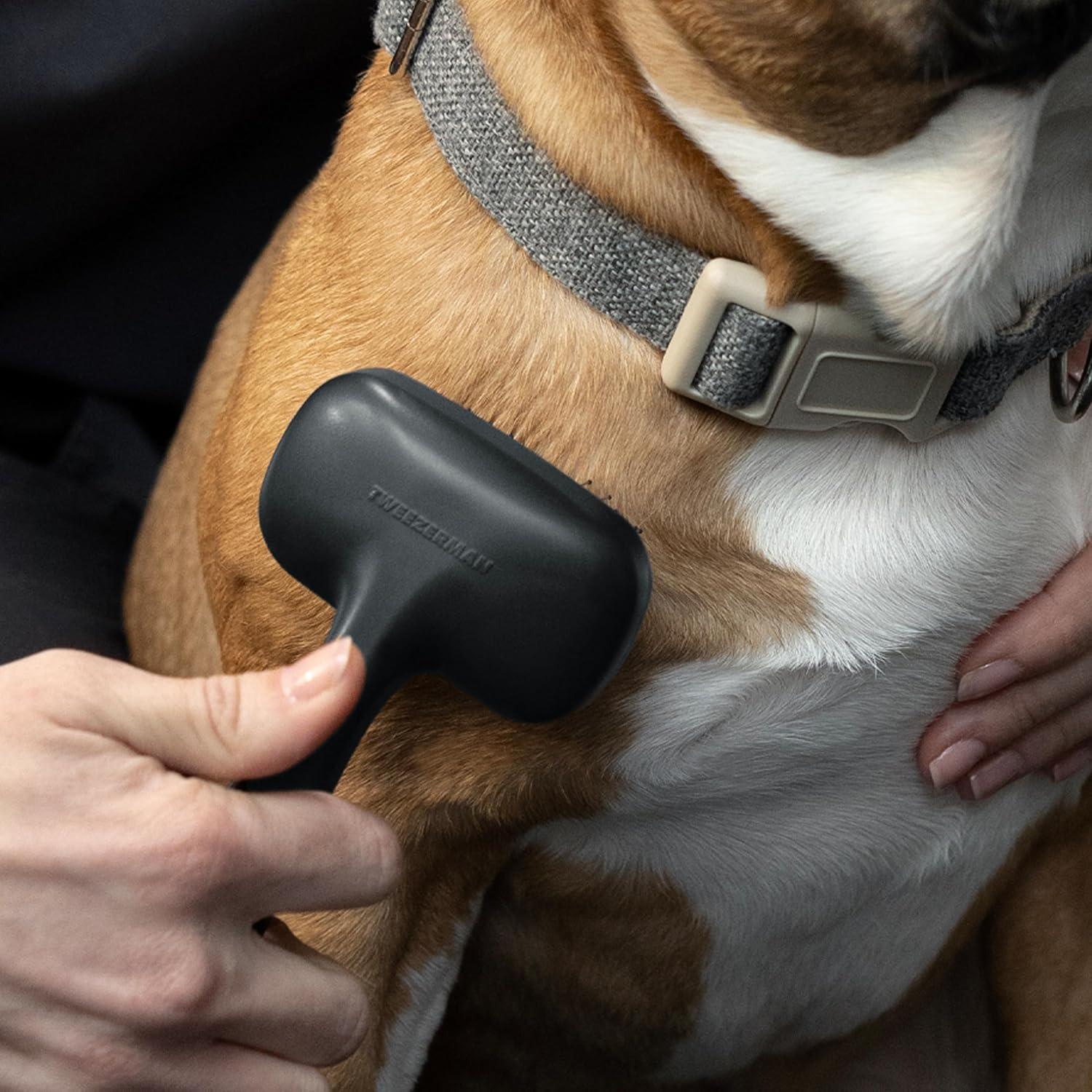 Cepillo Slicker para Perros y Gatos Tweezerman Pequeño