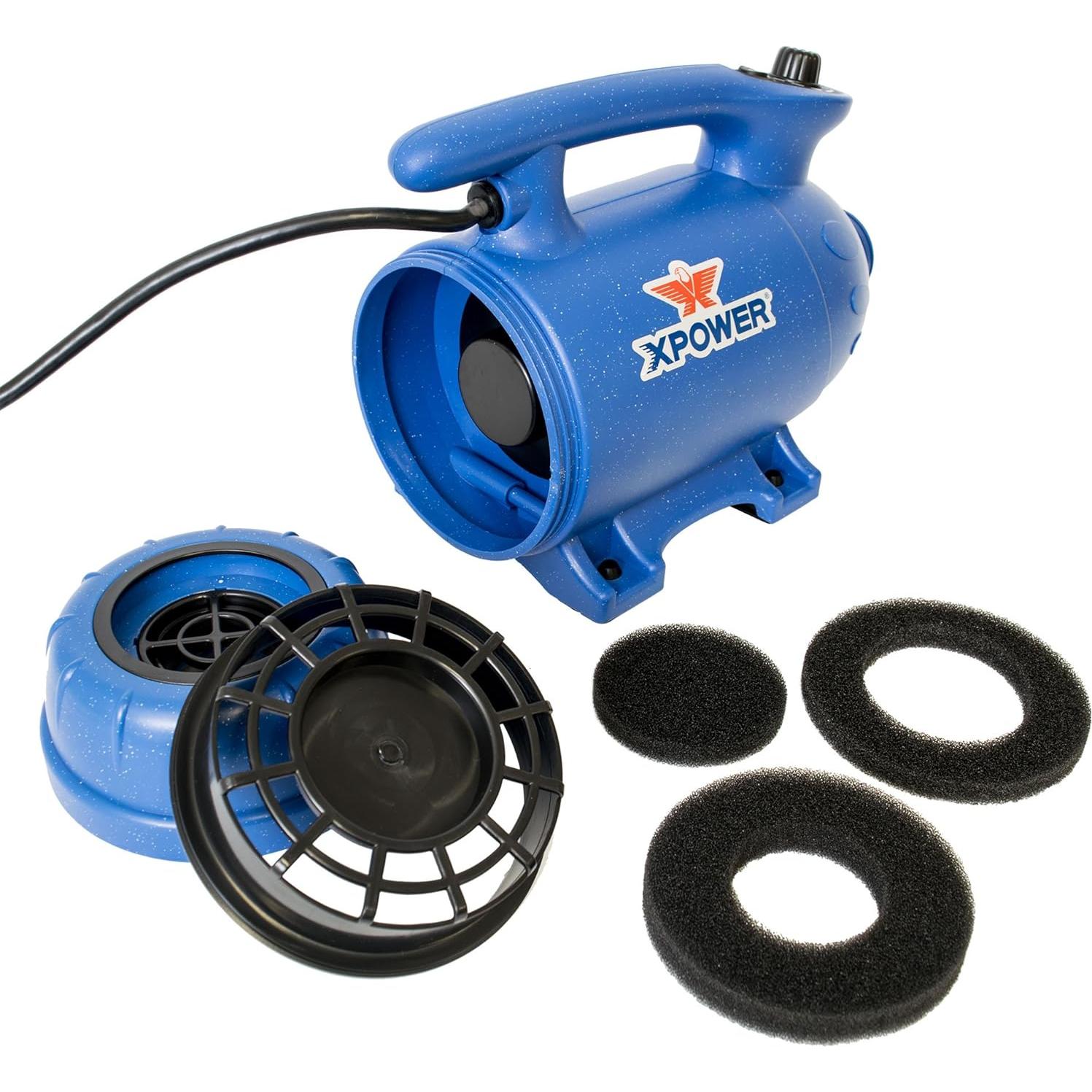 Secador Profesional para Mascotas XPOWER B-24 3 HP Silencioso