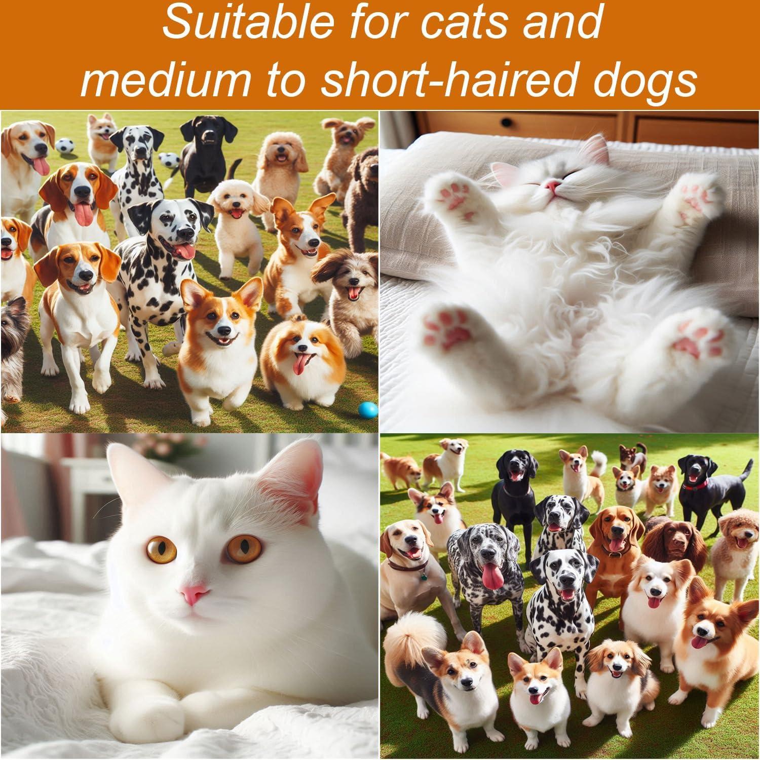 Secador de Pelo para Mascotas ENUKYCOM 300W 5 en 1