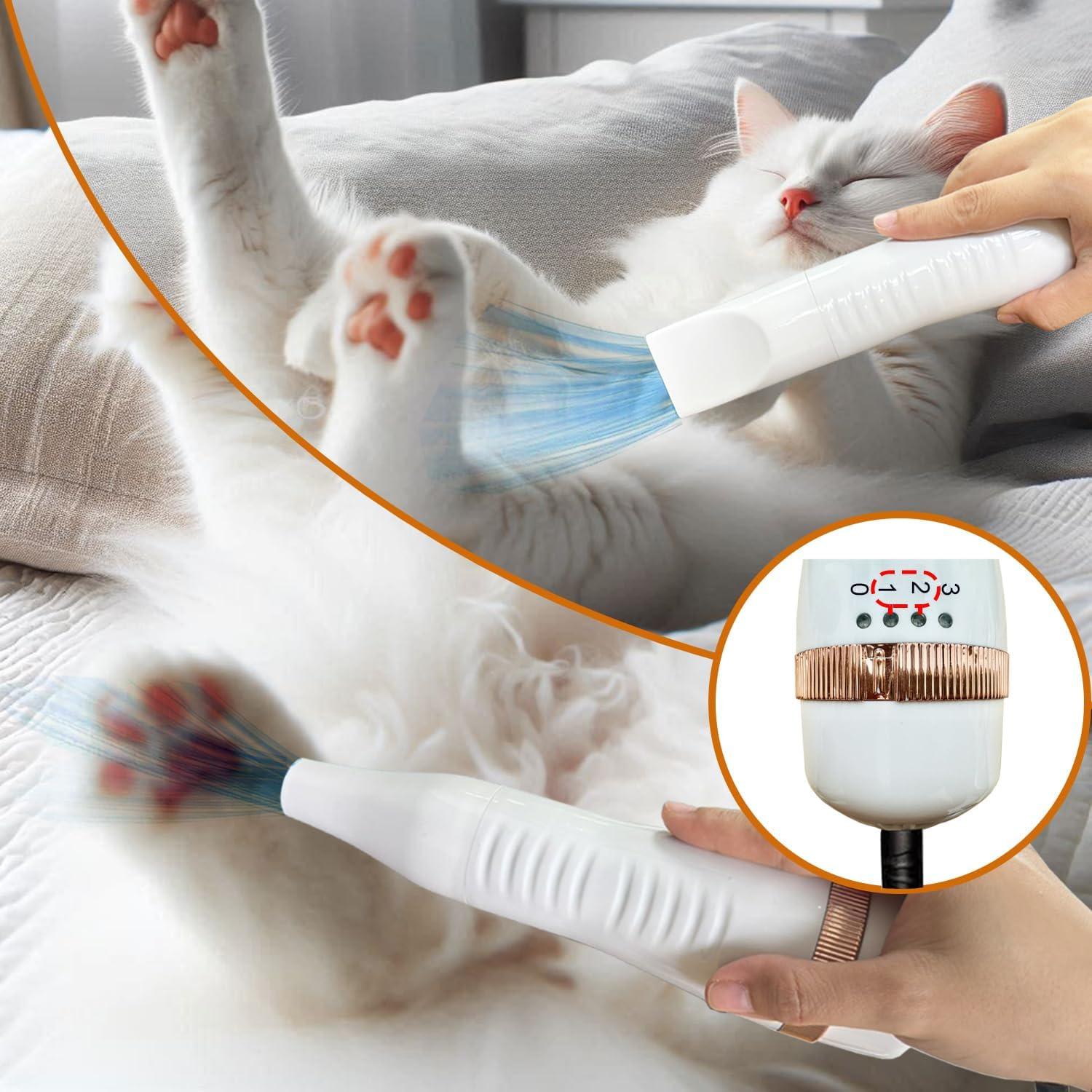 Secador de Pelo para Mascotas ENUKYCOM 300W 5 en 1