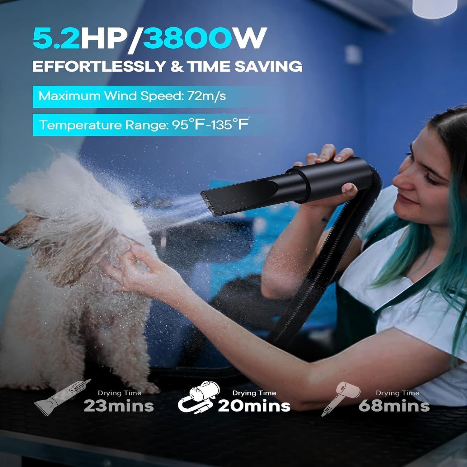 Secador de Pelo para Perros CHANGZHOU 5.2HP 3800W Ajustable