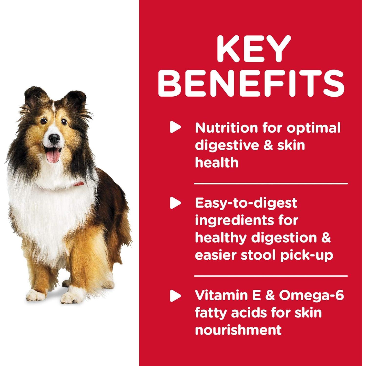 Comida Húmeda para Perros Hill's 12 Latas Guiso Pavo Arroz