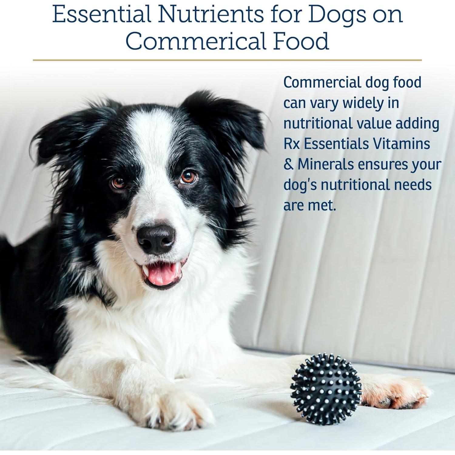 Vitaminas y Minerales para Perros Rx Vitamins 227 g