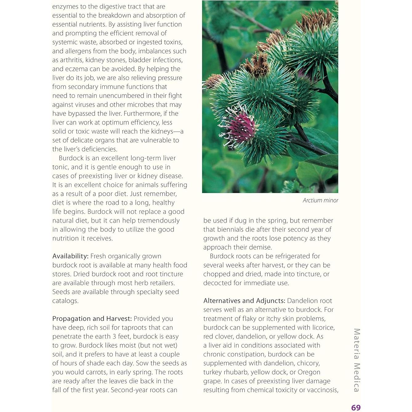 Herbs for Pets: The Natural Way to Enhance Your Pet's Life (CompanionHouse Books) A-Z Guide to Medicinal Plants, Holistic Recipes, and Nutritional Supplements for Dogs, Cats, Horses, Birds, and More