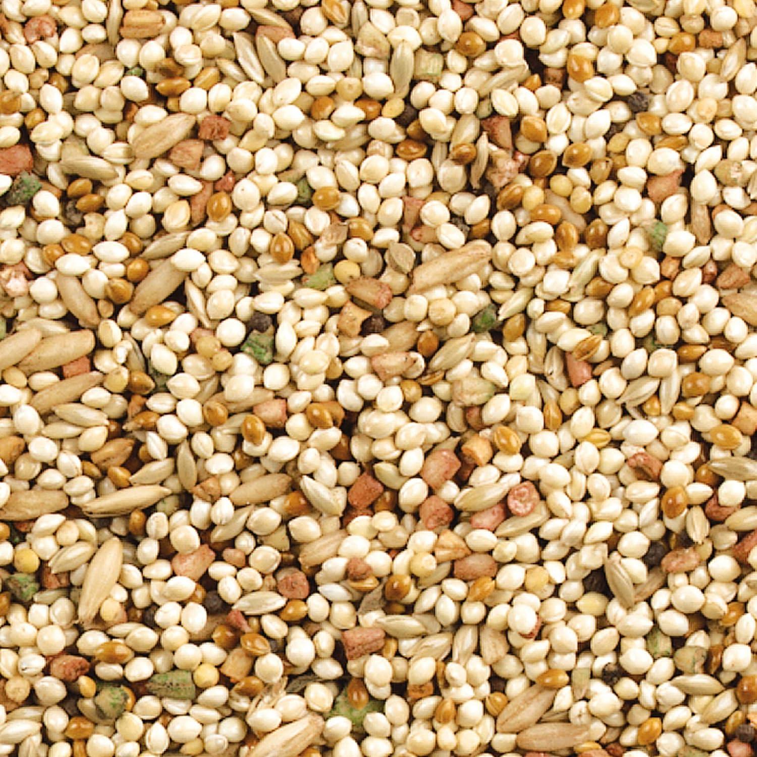 Mezcla Diaria Nutrición Wild Harvest para Aves 4,54 kg Naranja