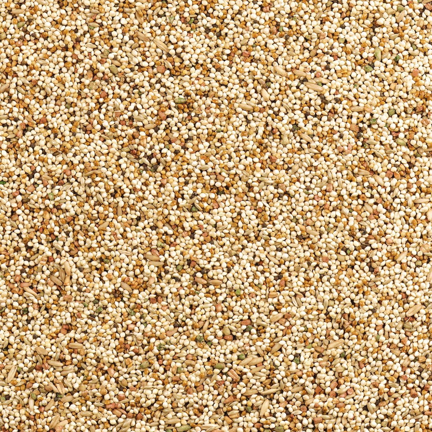 Mezcla Diaria Nutrición Wild Harvest para Aves 4,54 kg Naranja