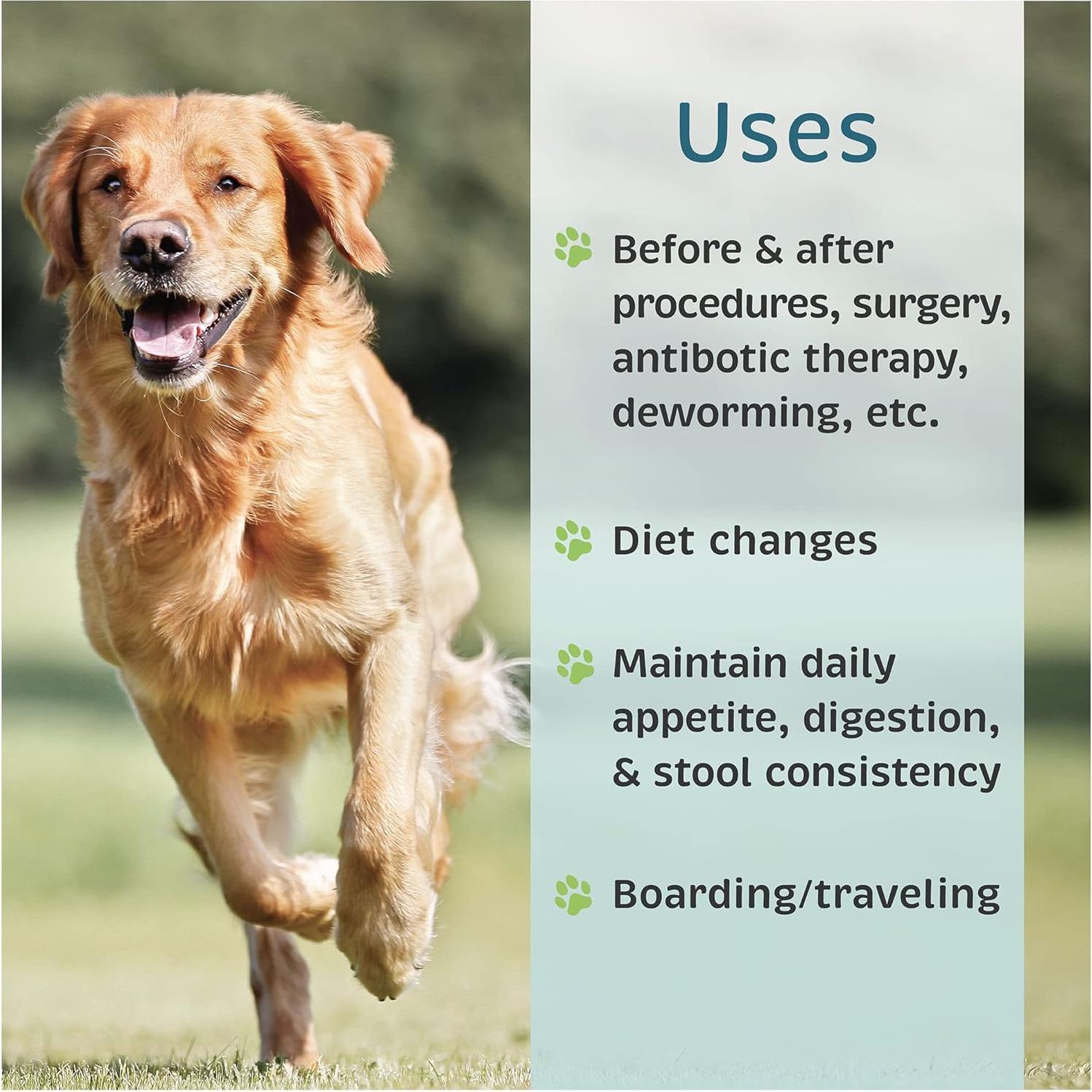 Suplemento Probiotico VetOne Advita para Perros 30 Paquetes