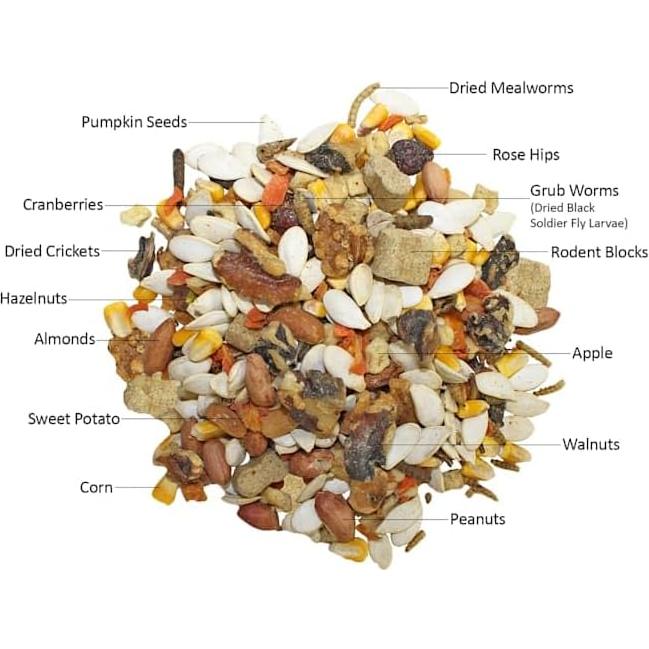 Squirrel Complete Exotic Nutrition - Dieta Ardillas 0.79 kg