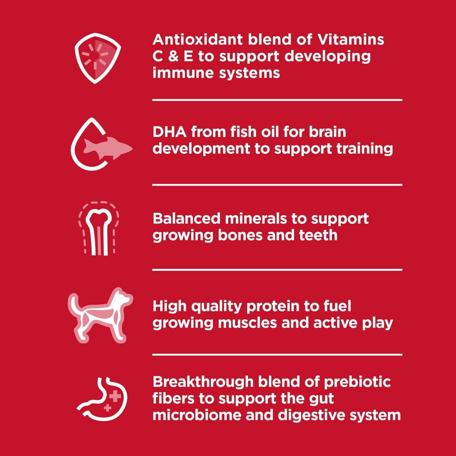 Comida Seca para Perros Hill's Science Diet 2,04 kg Pollo