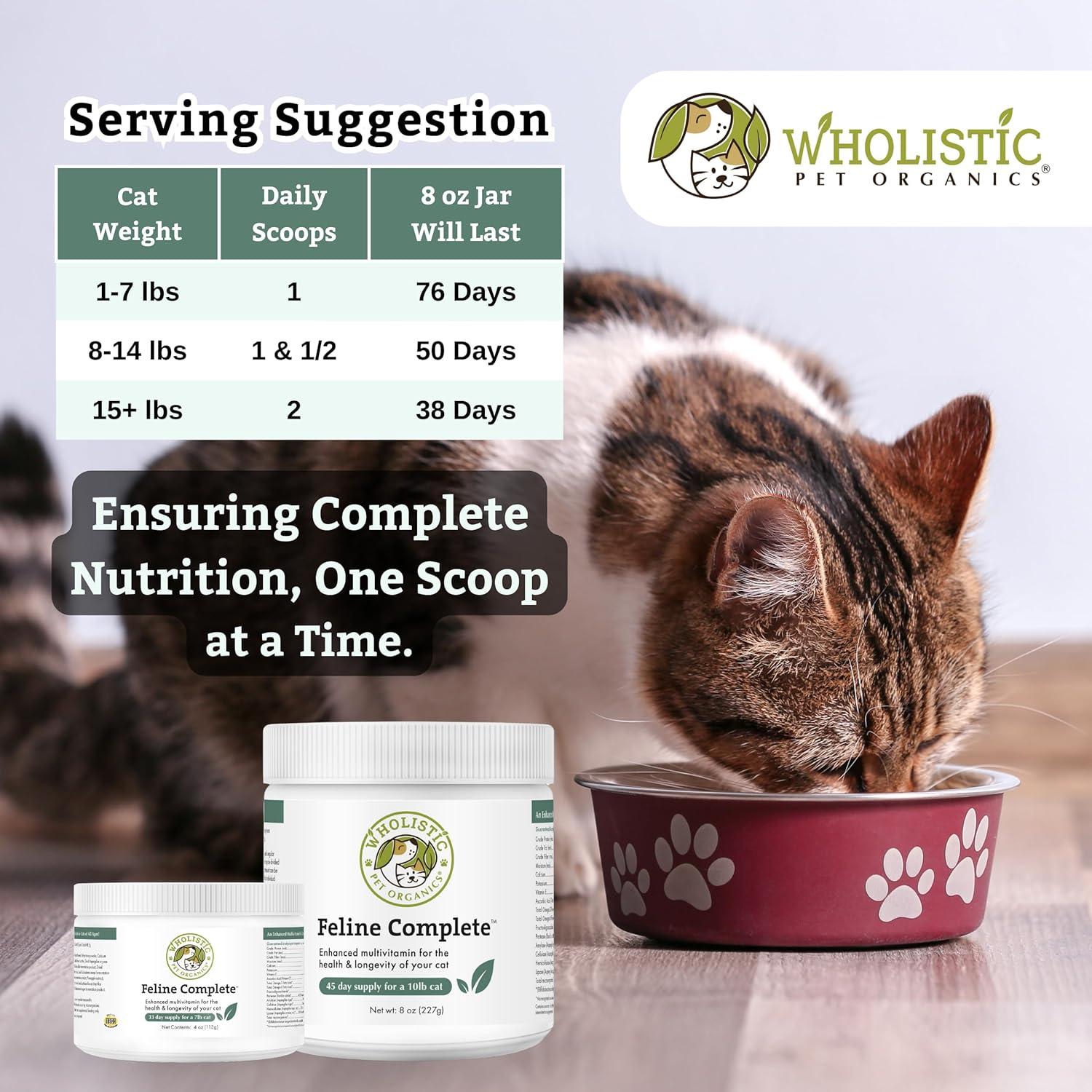 Suplemento Multivitamínico Probiotico para Gatos Wholistic 226g