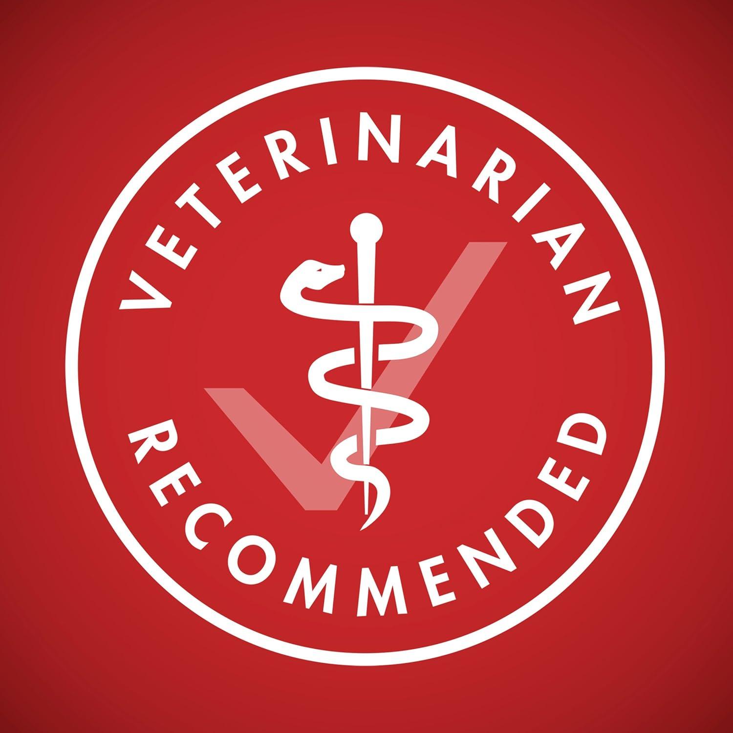 Purina ONE Comida Seca para Perros Cordero y Arroz 14 kg