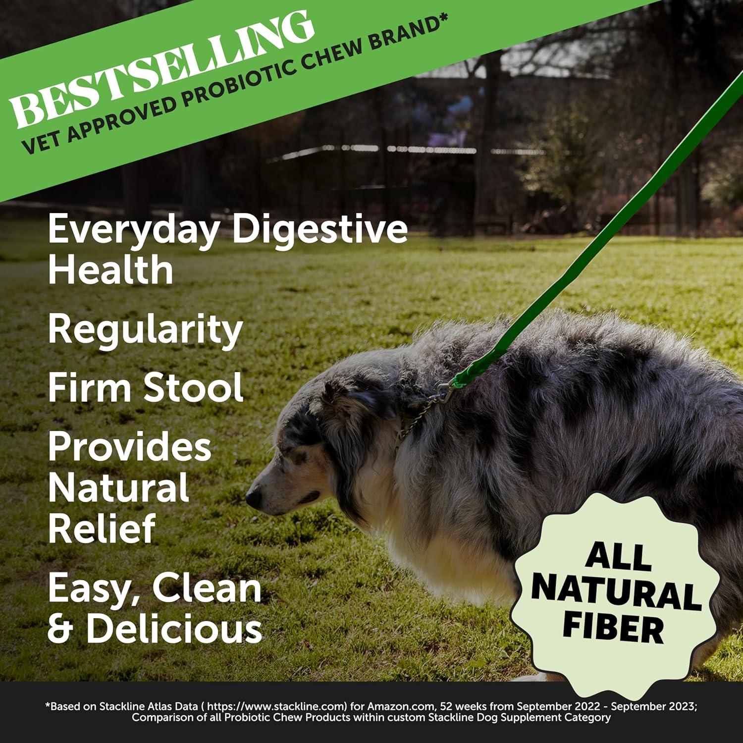 Suplemento de Fibra en Polvo Pet Honesty 90 Porciones Digestión Saludable