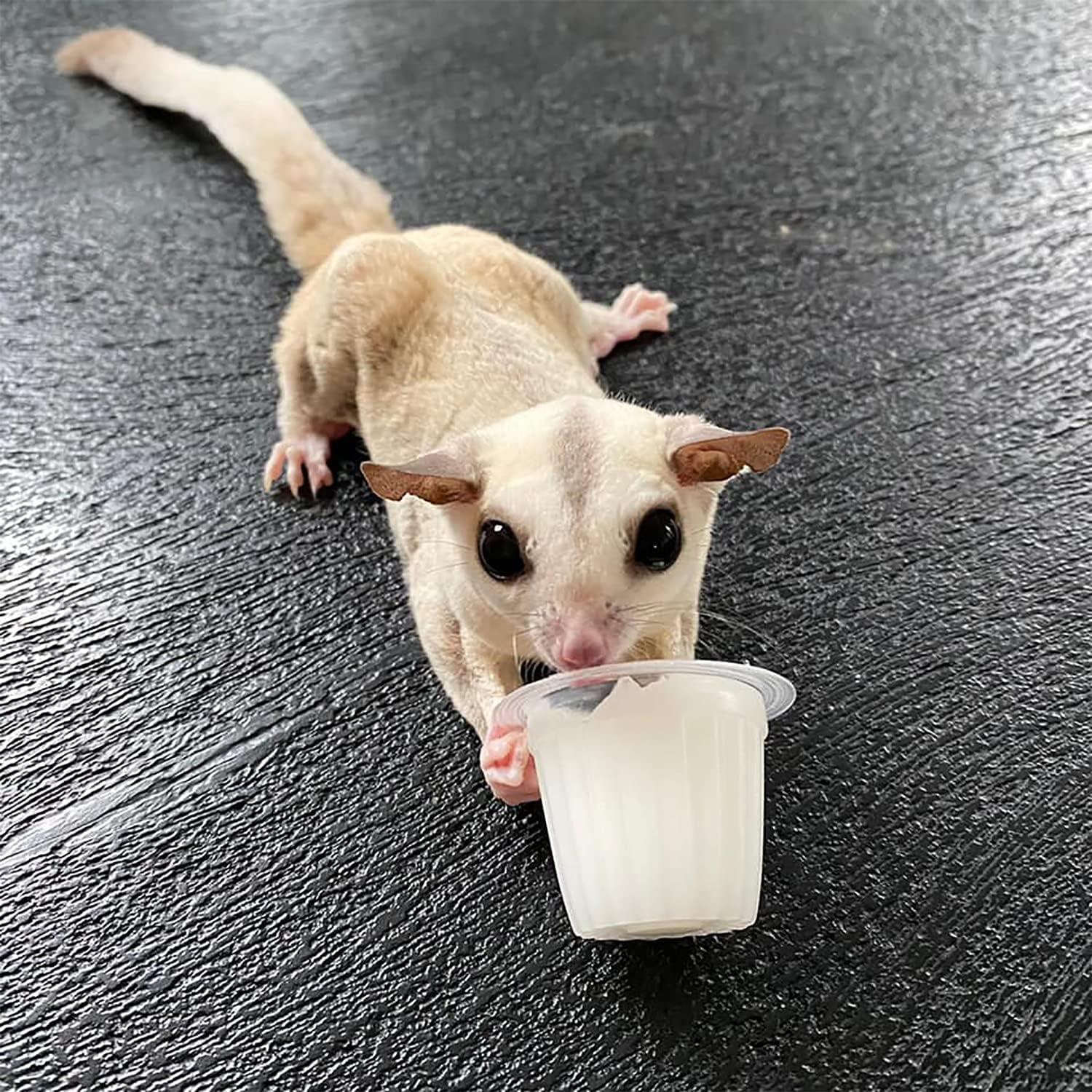 Nectar Pods Yogur Exotic Nutrition 8 Cápsulas para Mascotas