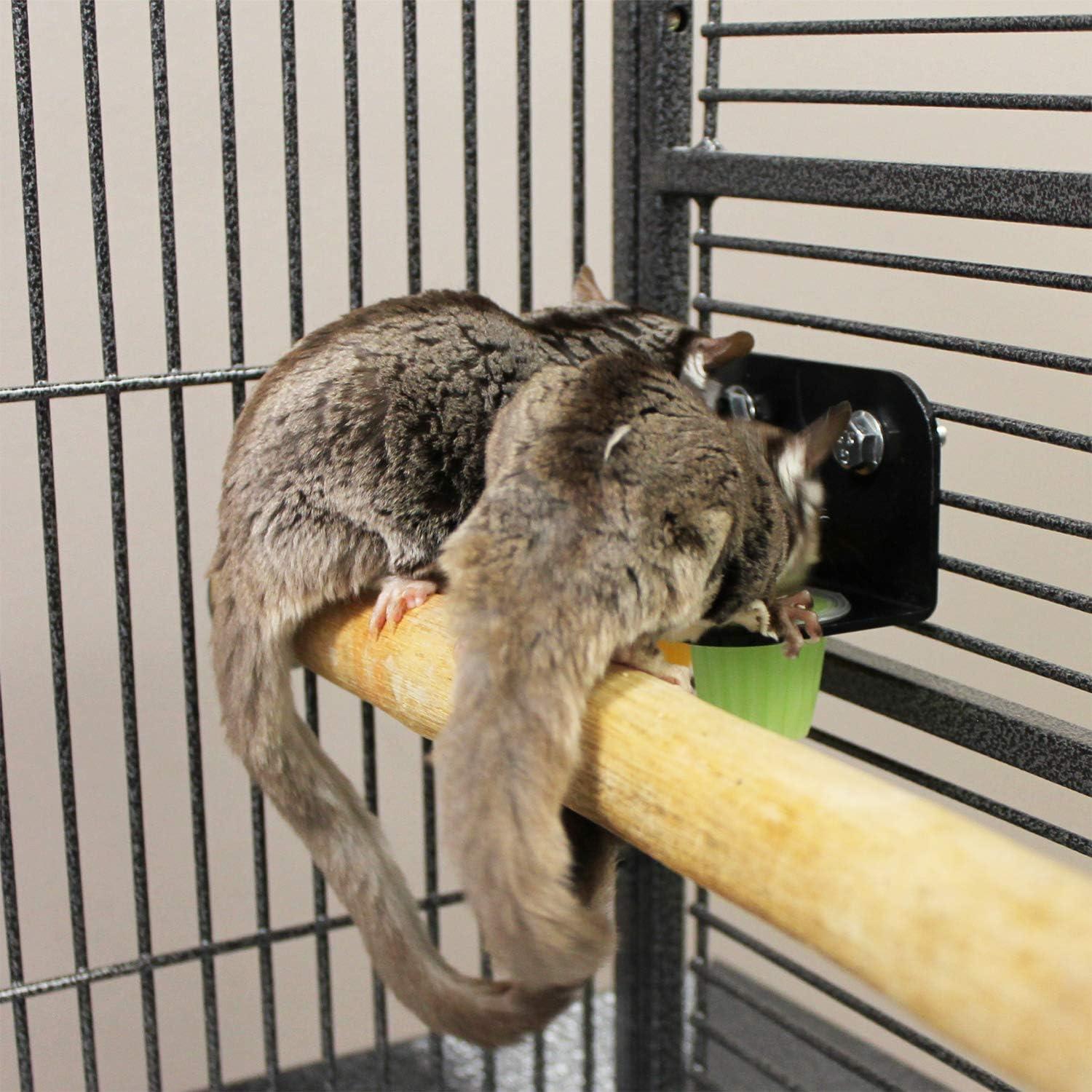 Nectar Pods Yogur Exotic Nutrition 8 Cápsulas para Mascotas